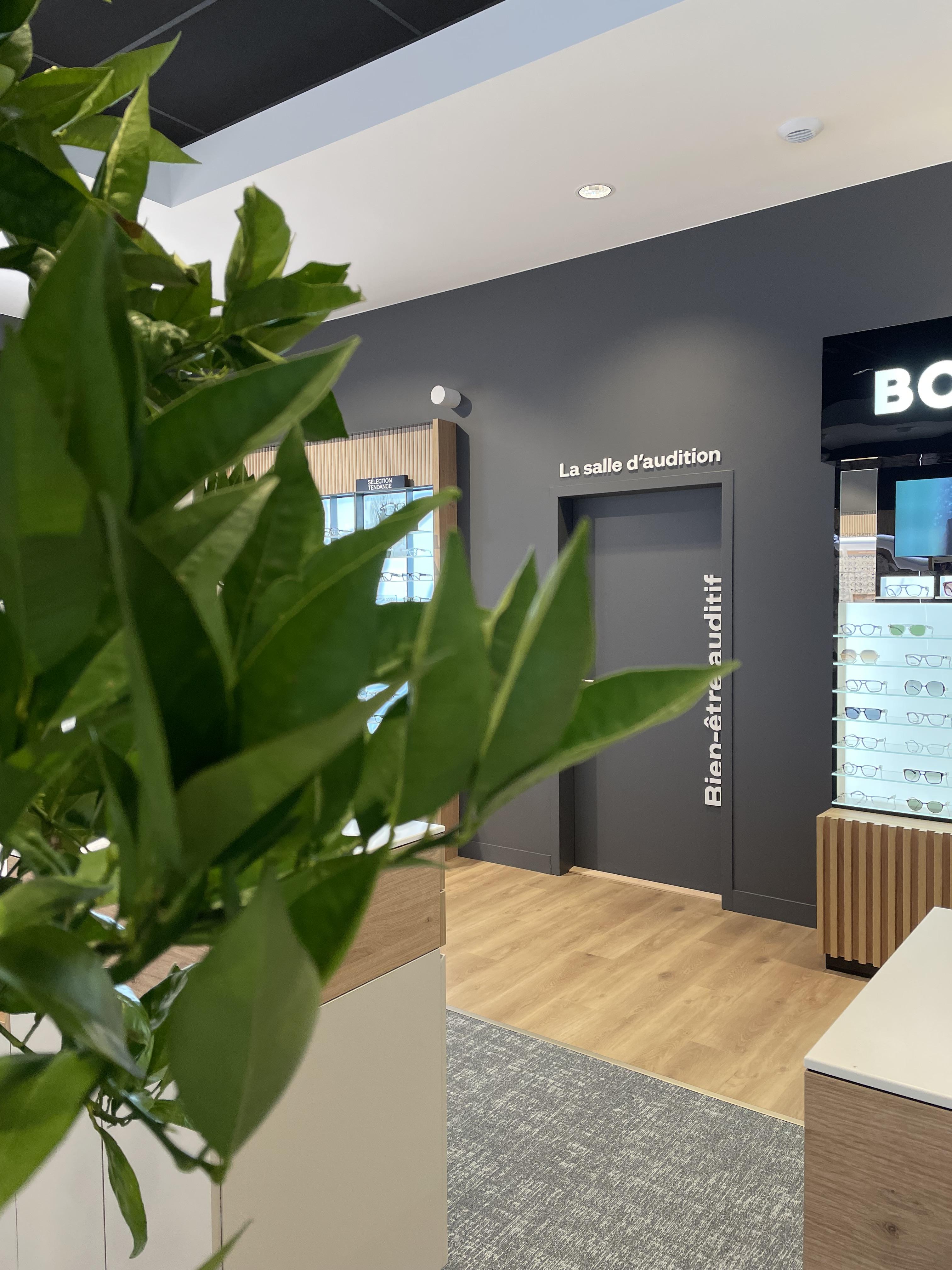 Audioprothésiste Plechatel - Bain-de-Bretagne - Krys Audition