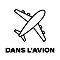 Dans l'avion