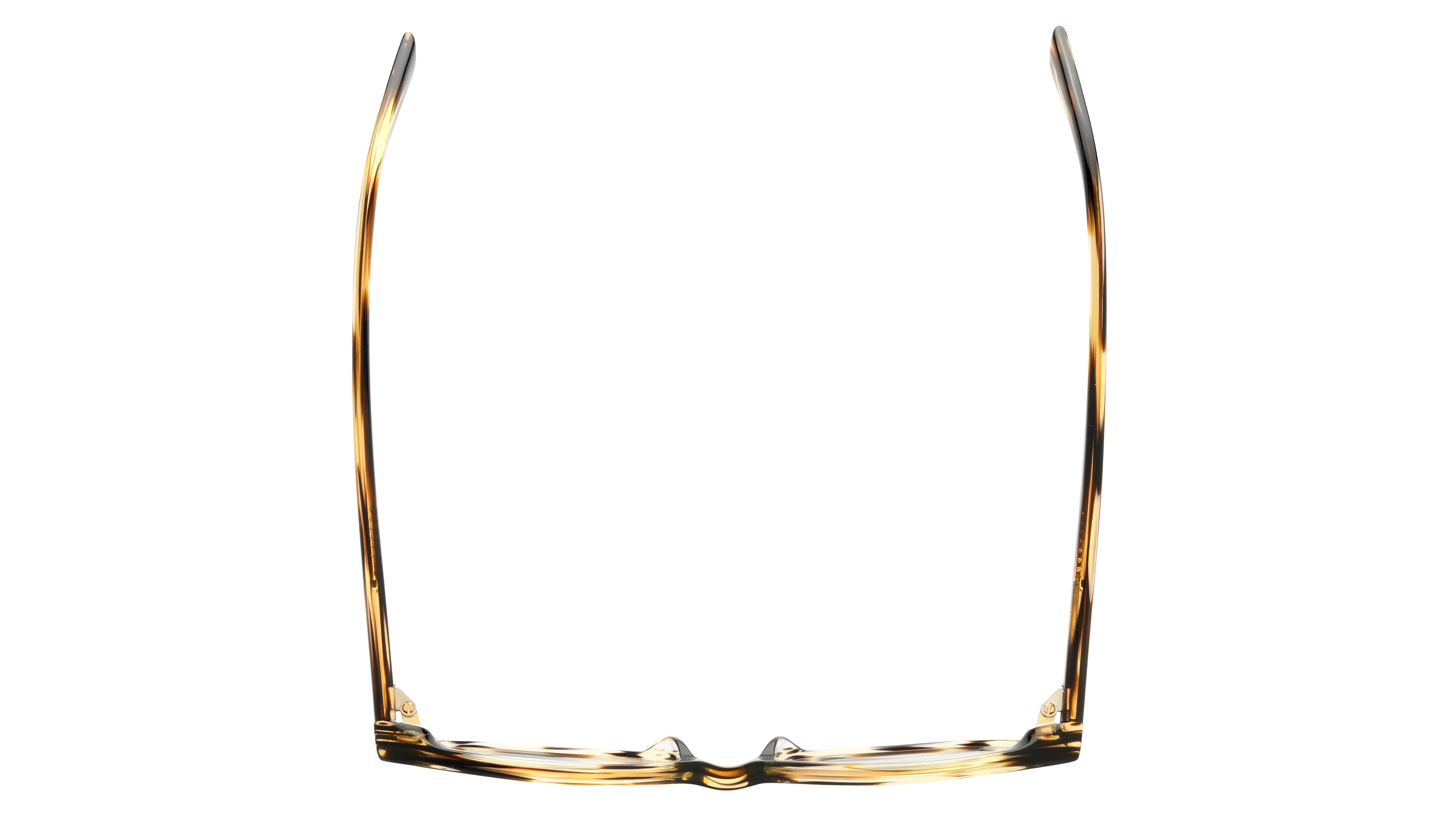 Lunettes de vue Longchamp Femme Écaille Rectangle LO2739 Dessus
