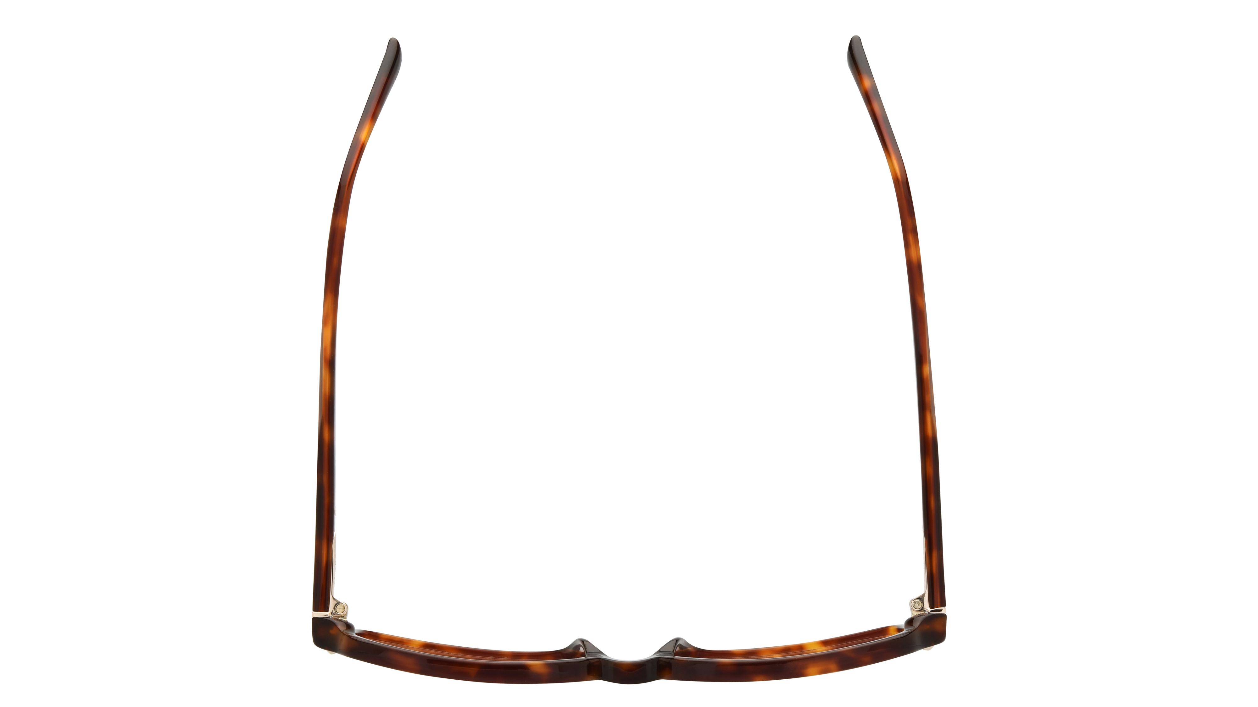 Lunettes de vue Sandro Femme Écaille Rectangle SD2086 Dessus