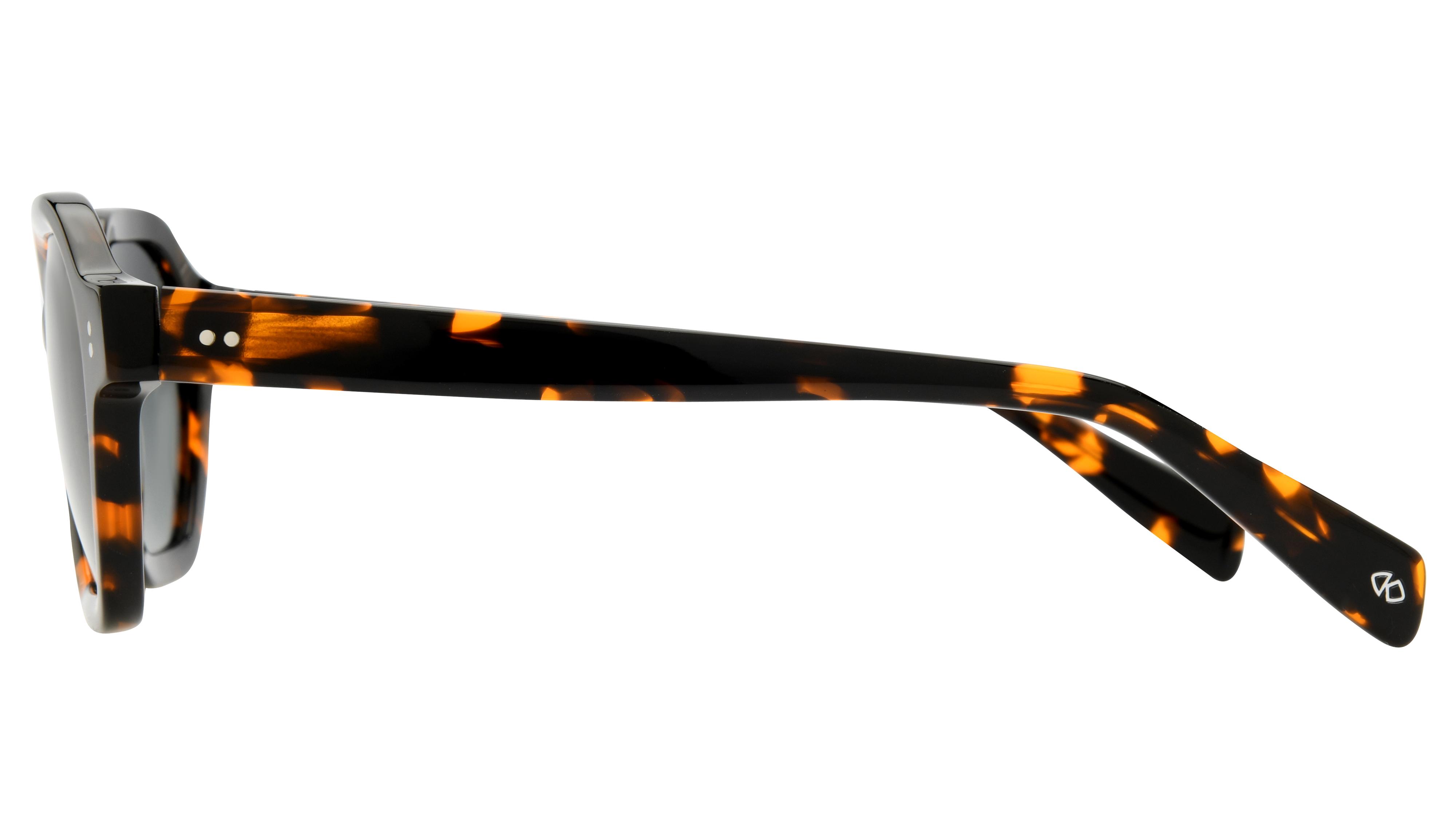 Lunettes de soleil Signature Krys Mixte Écaille Rectangle Skj2536-D Gauche