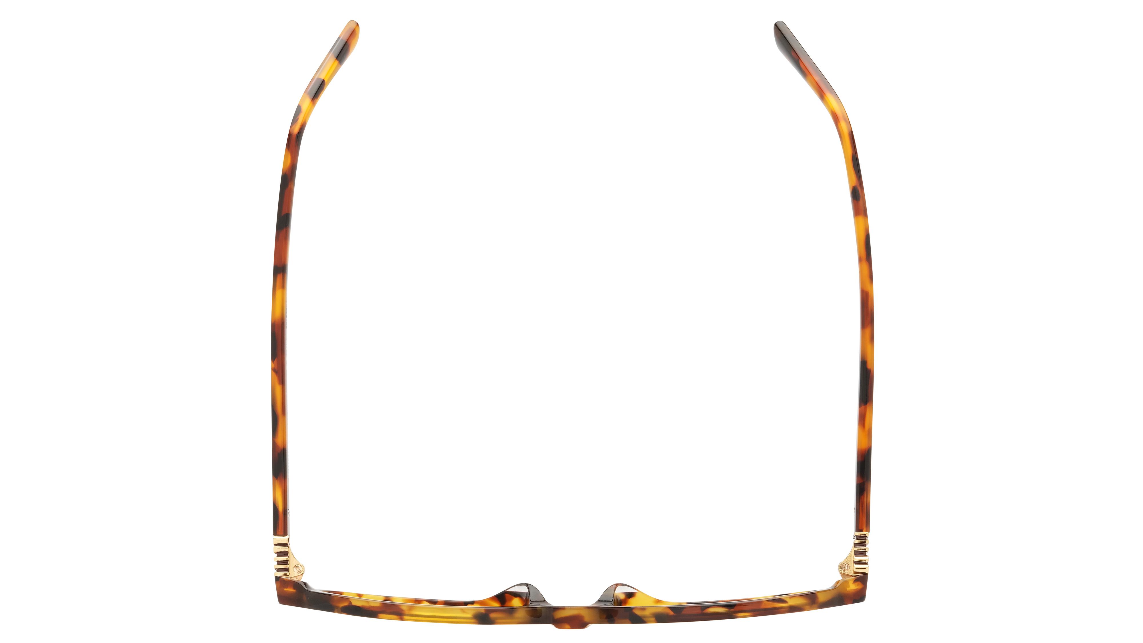 Lunettes de soleil Miu Miu Femme Écaille Ovale Mu Dessus