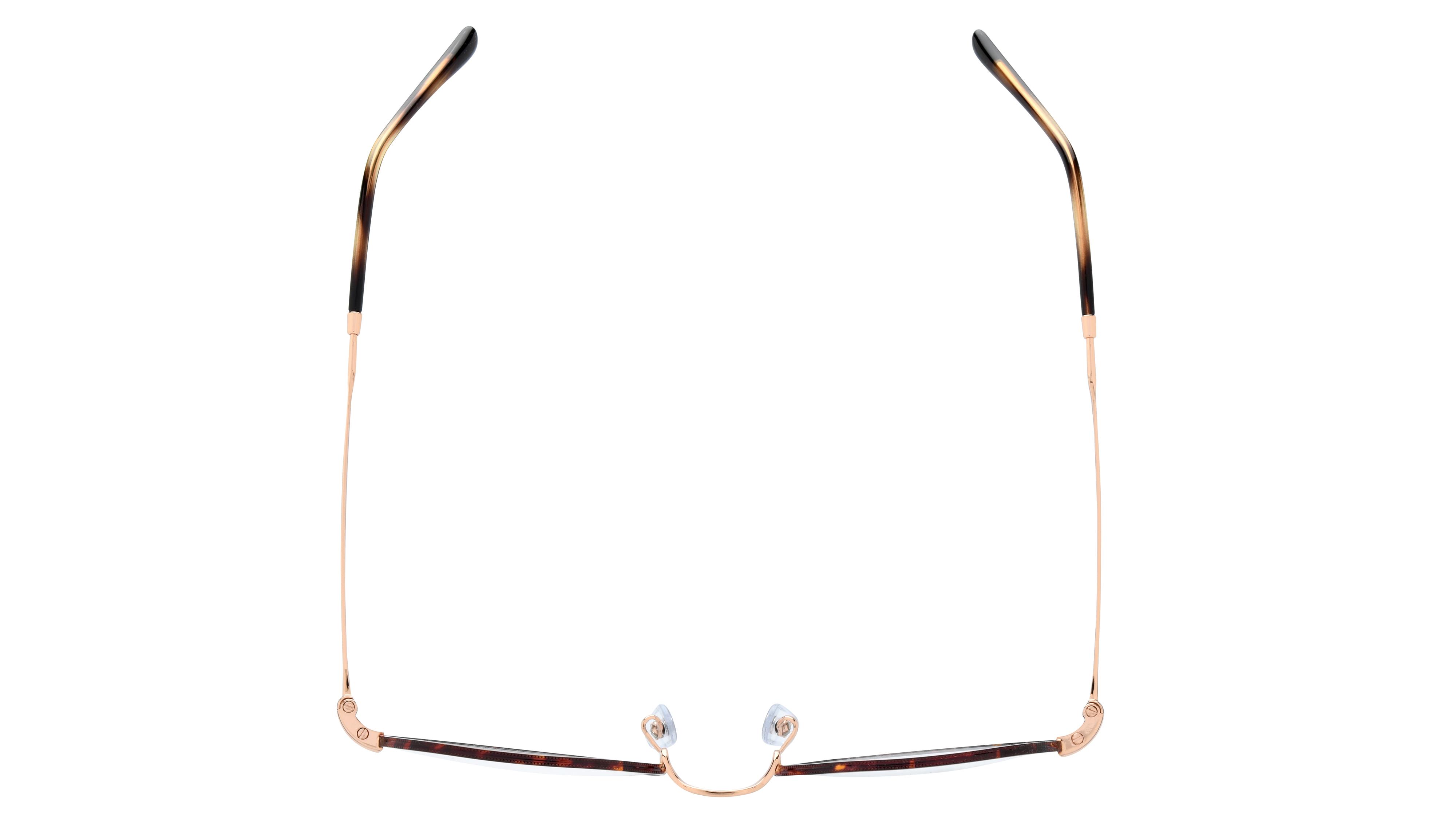Lunettes de vue Ray-Ban Mixte Écaille Ronde Rx6465 Dessus
