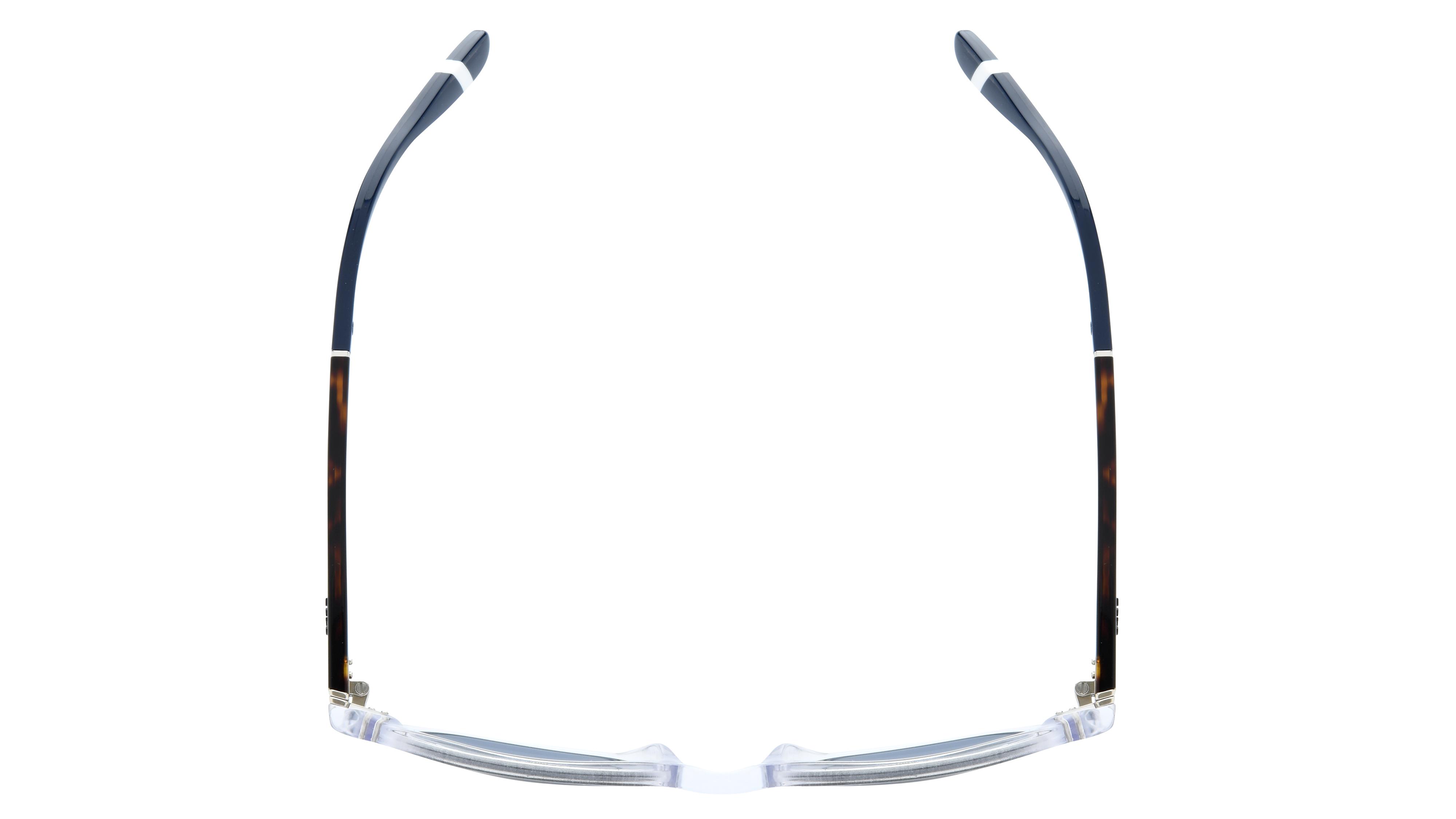 Lunettes de soleil Polo Ralph Lauren Homme Transparent Pantos PH4206 Dessus