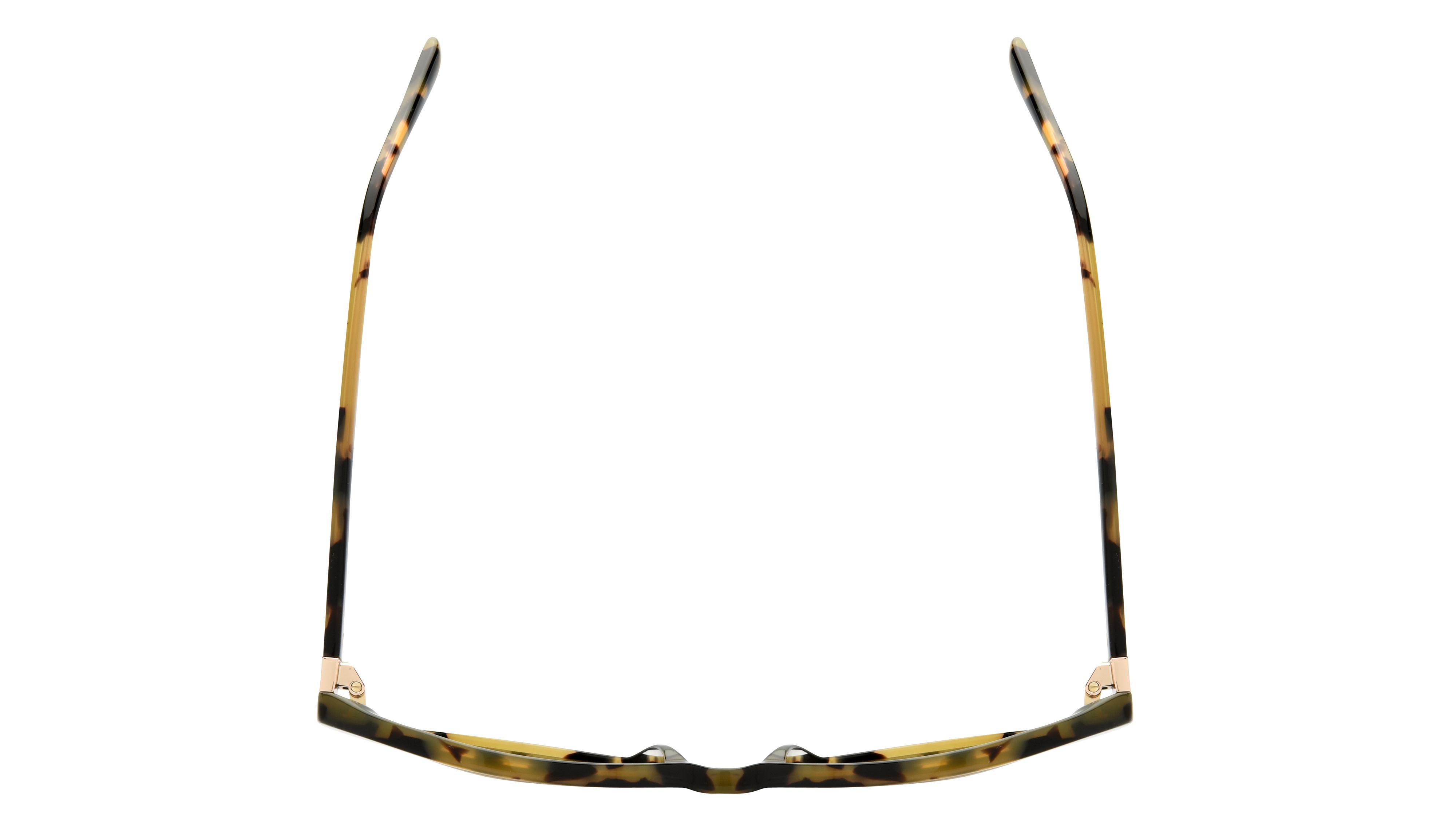 Lunettes de soleil Signature Krys Femme Écaille Papillon Ske2538-E Dessus