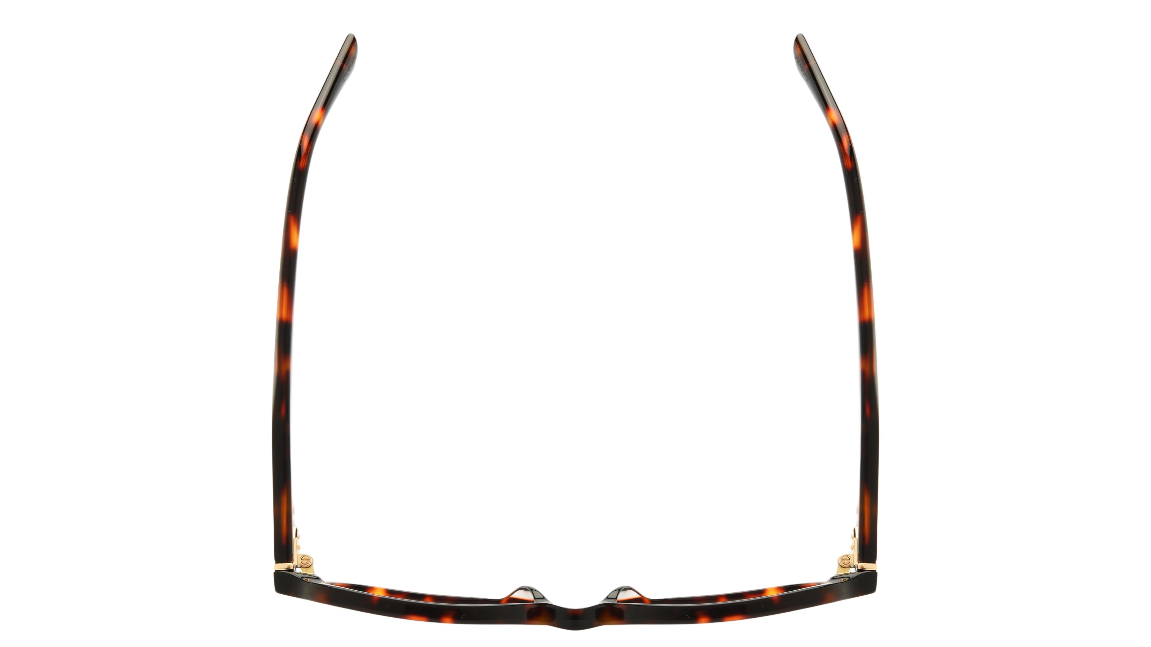 Lunettes de vue Sandro Femme Écaille Rectangle SD2062 Dessus