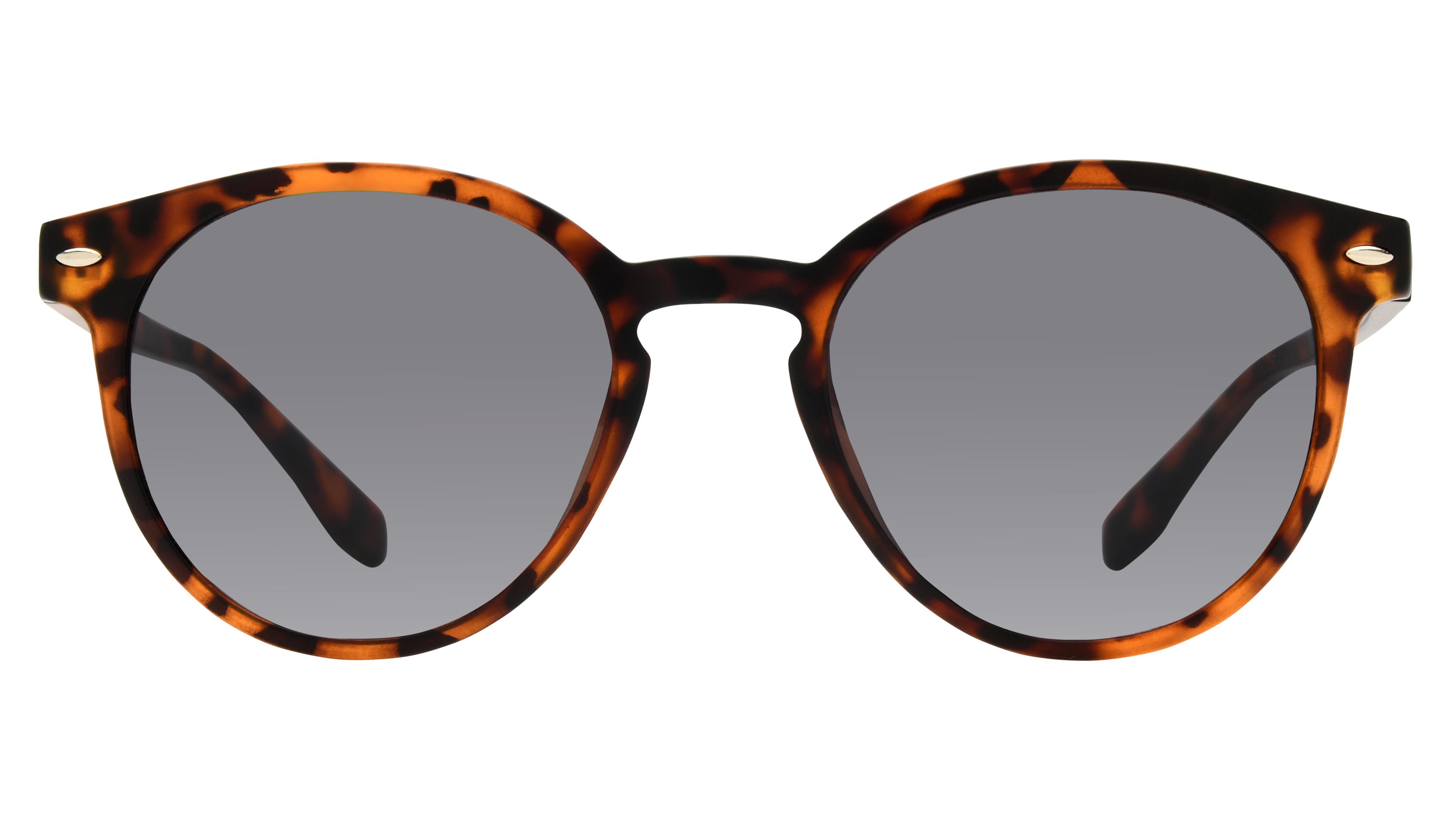 Lunettes de soleil Signature Krys Enfant Écaille Pantos Sks2406-A Face