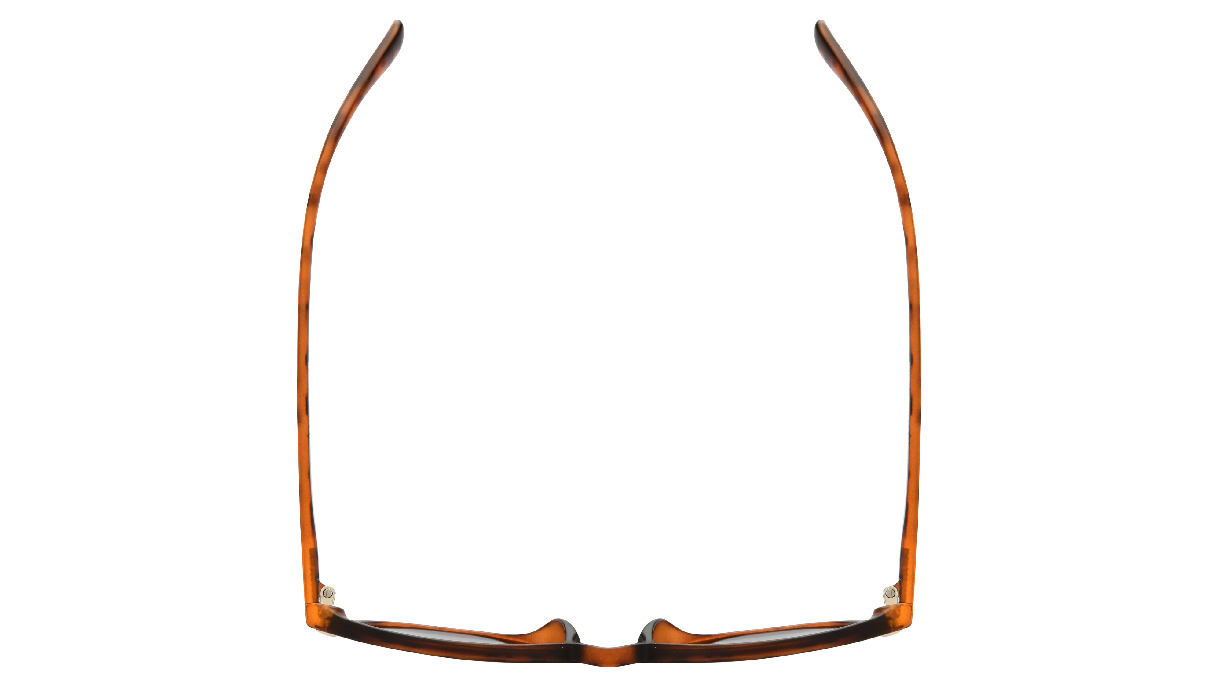 Lunettes de soleil Signature Krys Enfant Écaille Pantos Sks2406-A Dessus