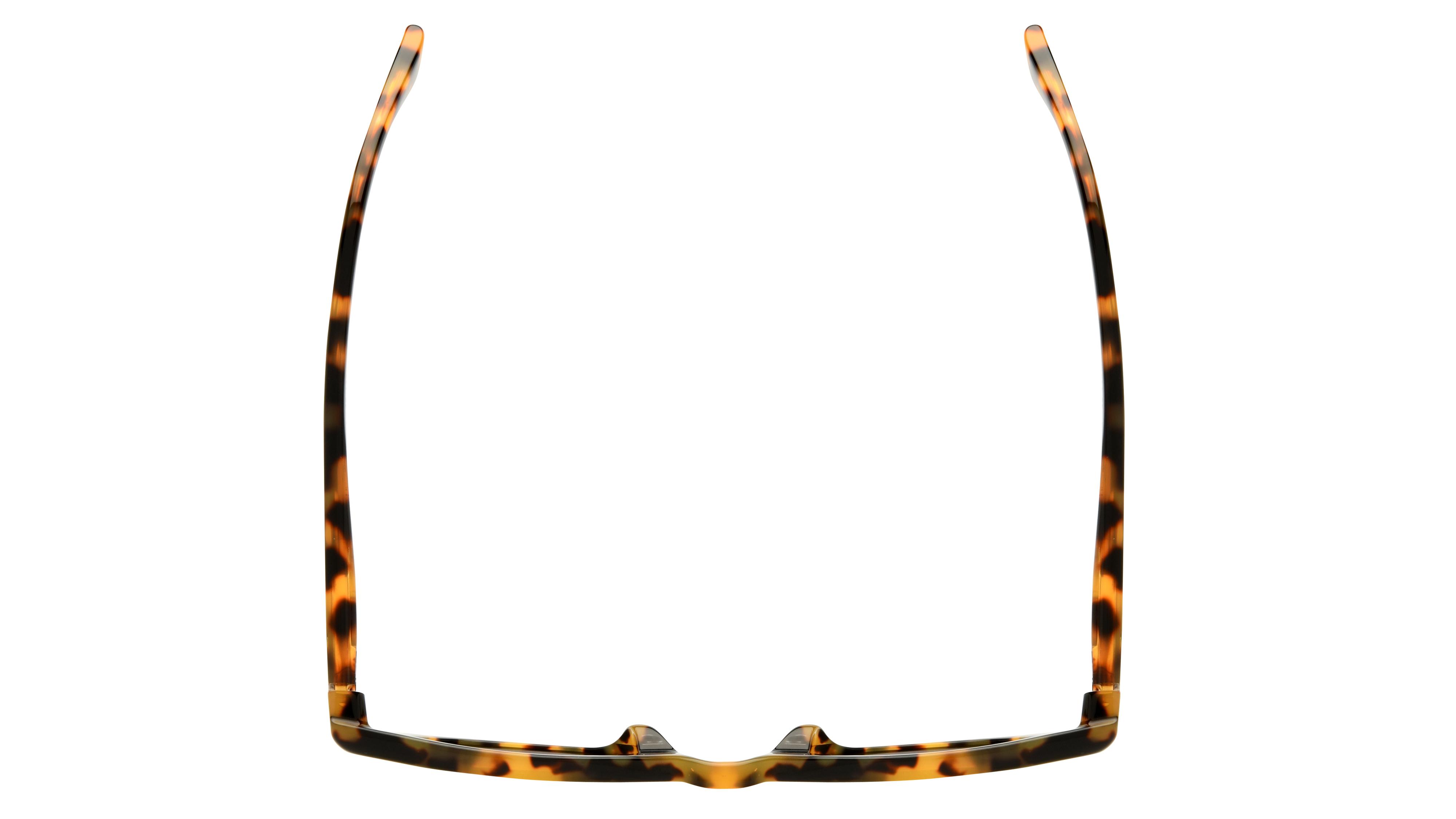 Lunettes de soleil Etnia Barcelona Femme Écaille Ronde Taylor45S Dessus