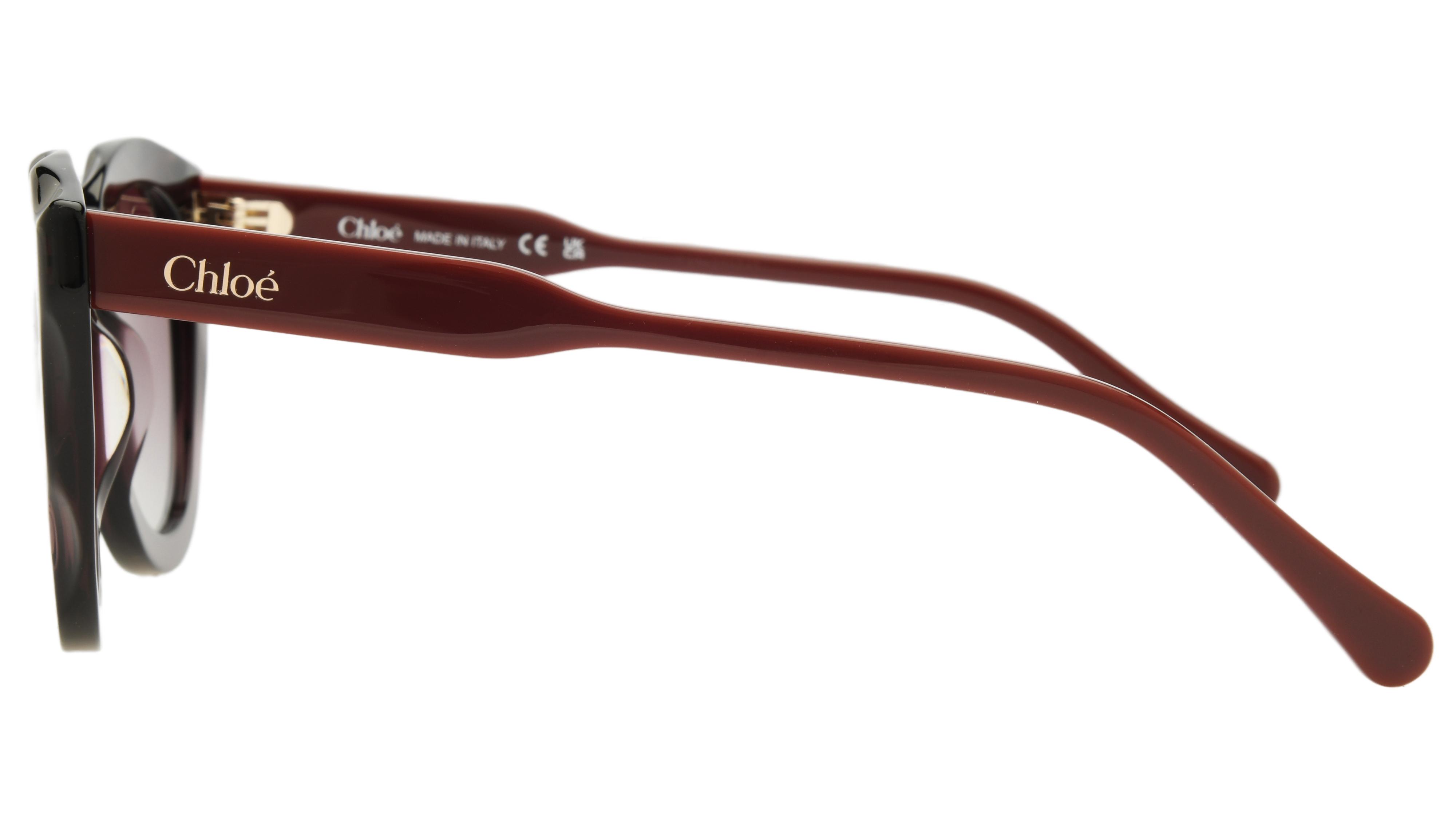 Lunettes de soleil Chloé Femme Violet Ronde CH0295S Gauche
