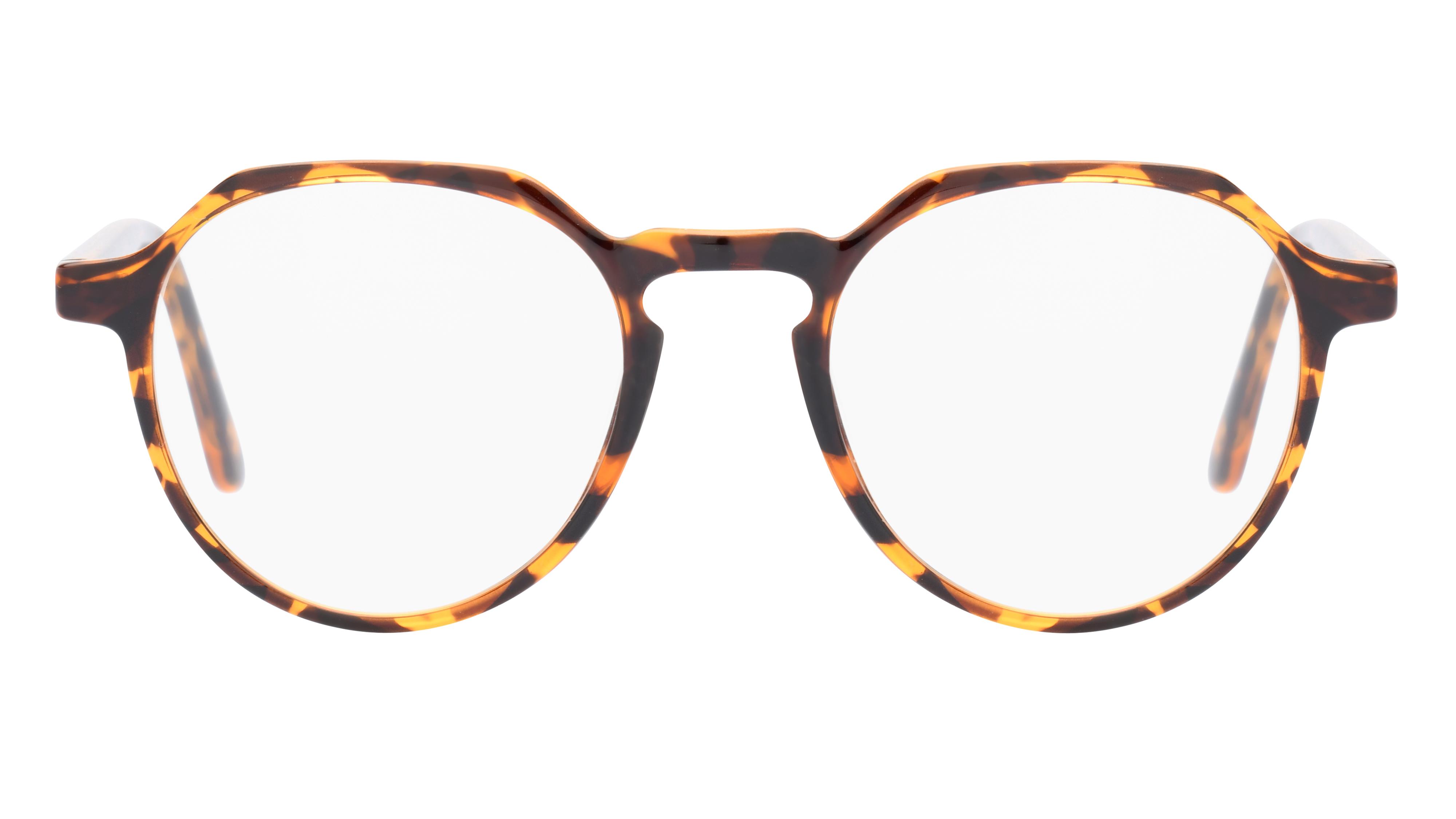 Lunettes de vue Alternance Mixte Écaille Pantos Alt22114 Face