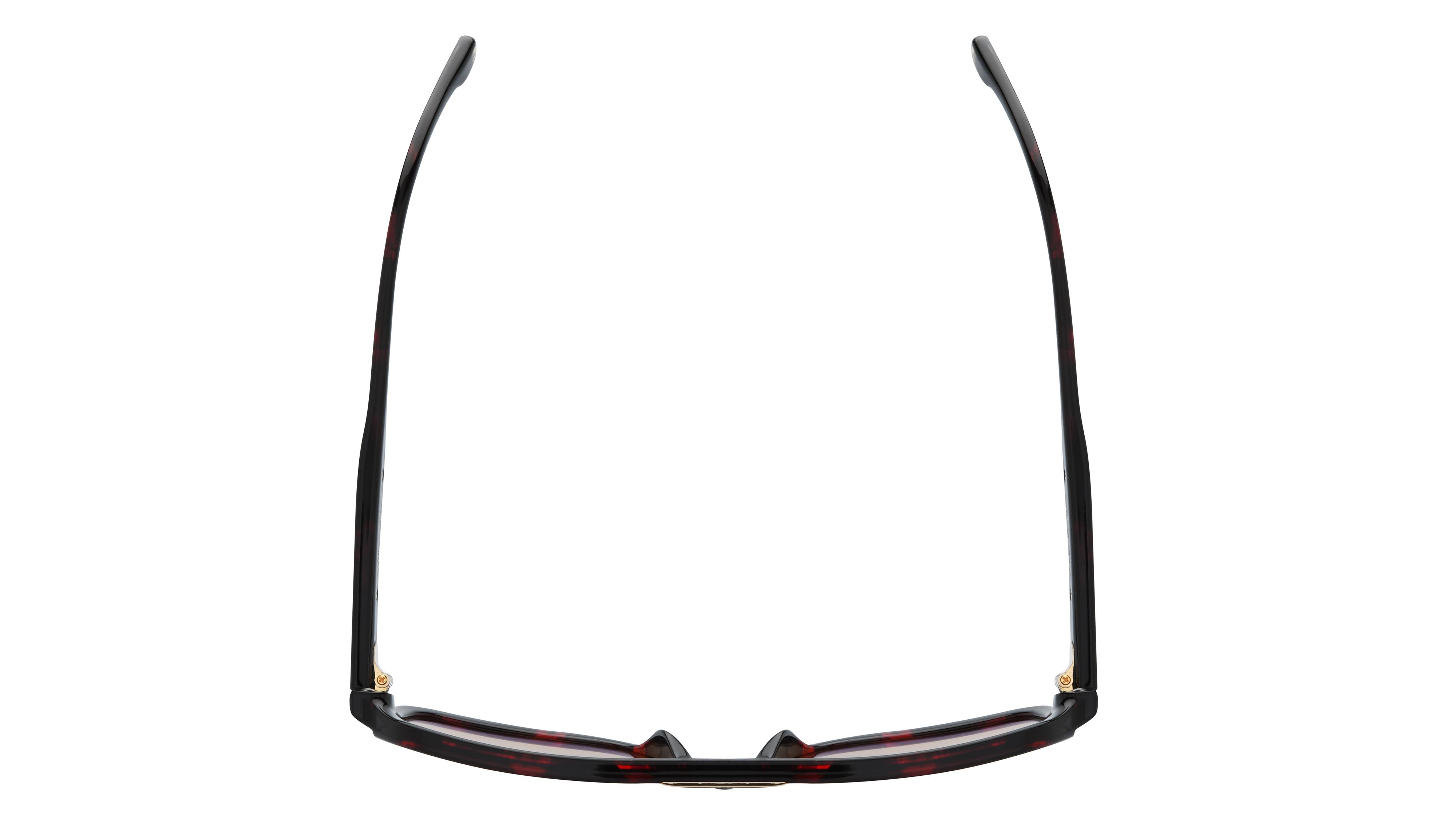 Lunettes de soleil Carrera Homme Écaille Aviateur Victory Dessus