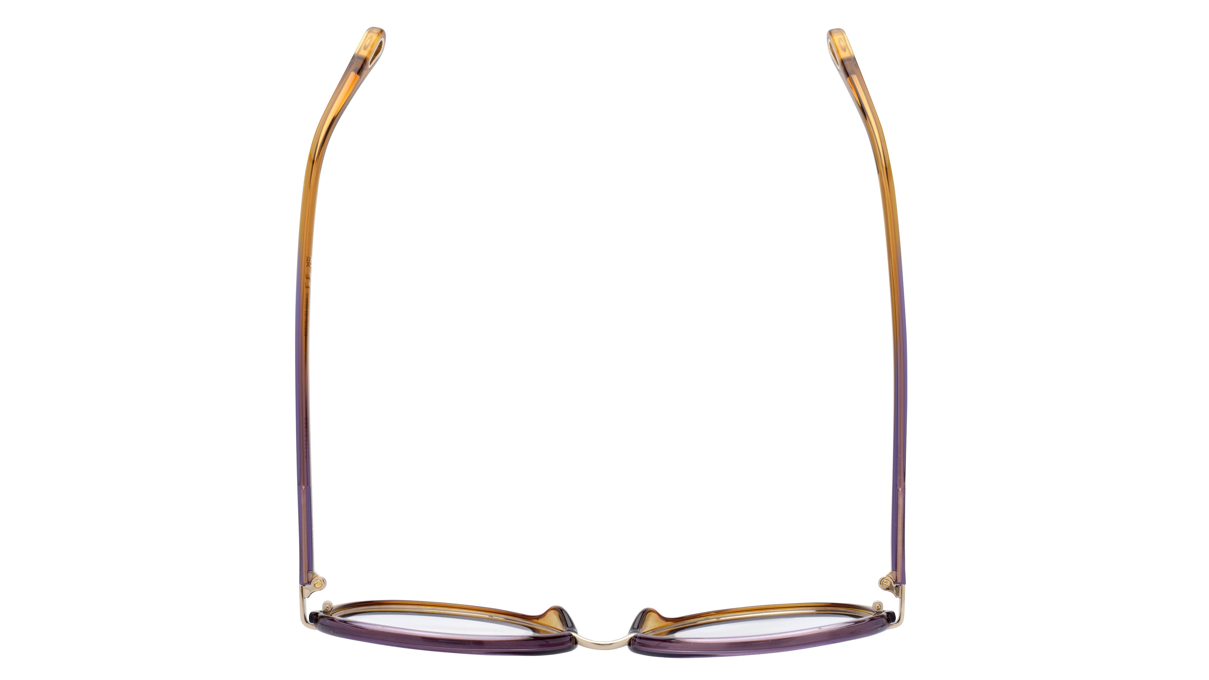 Lunettes de vue Chloé Femme Transparent Ovale Ch0131O Dessus