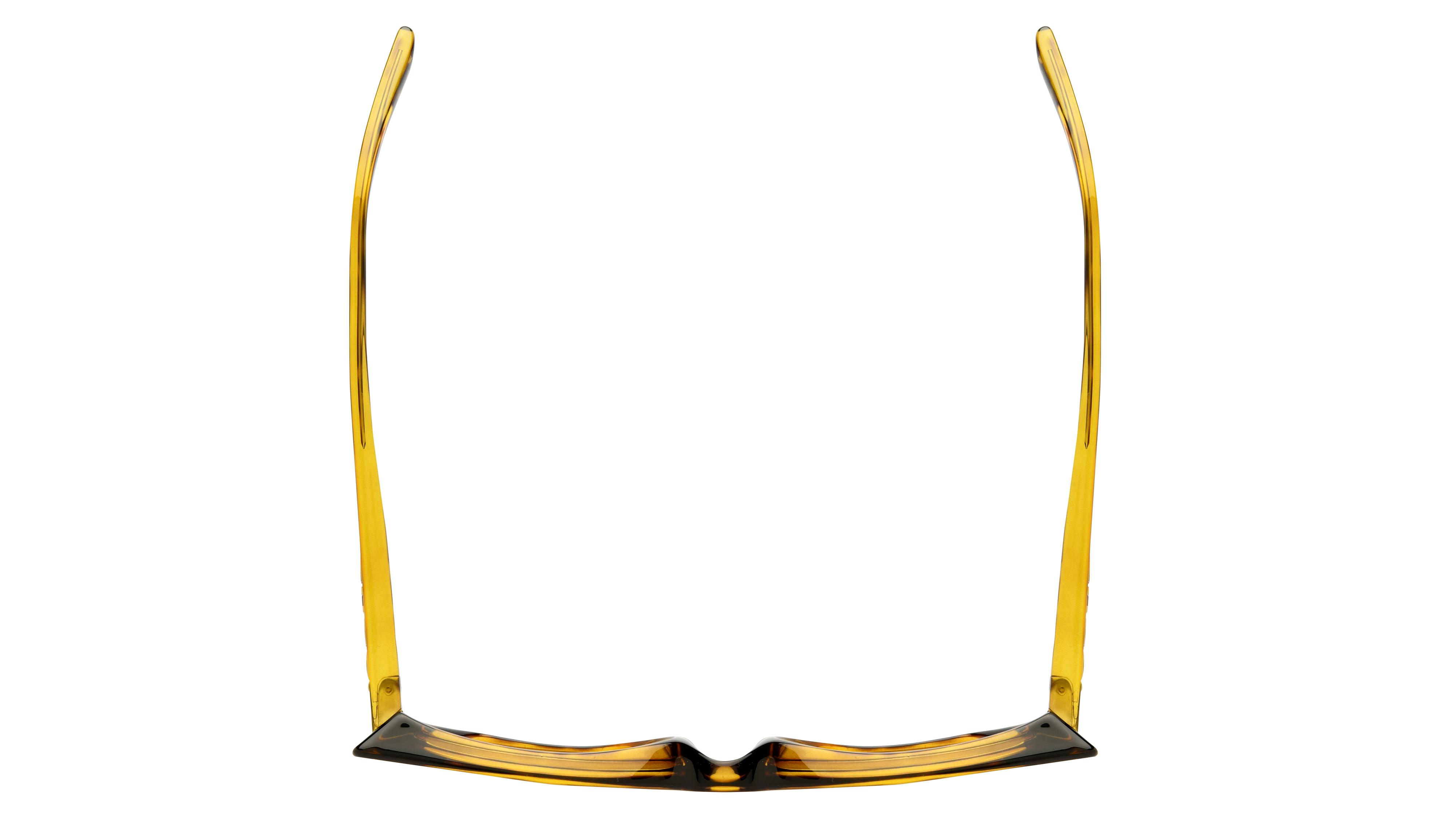 Lunettes de vue Gucci Femme Écaille Papillon Gg1720O Dessus