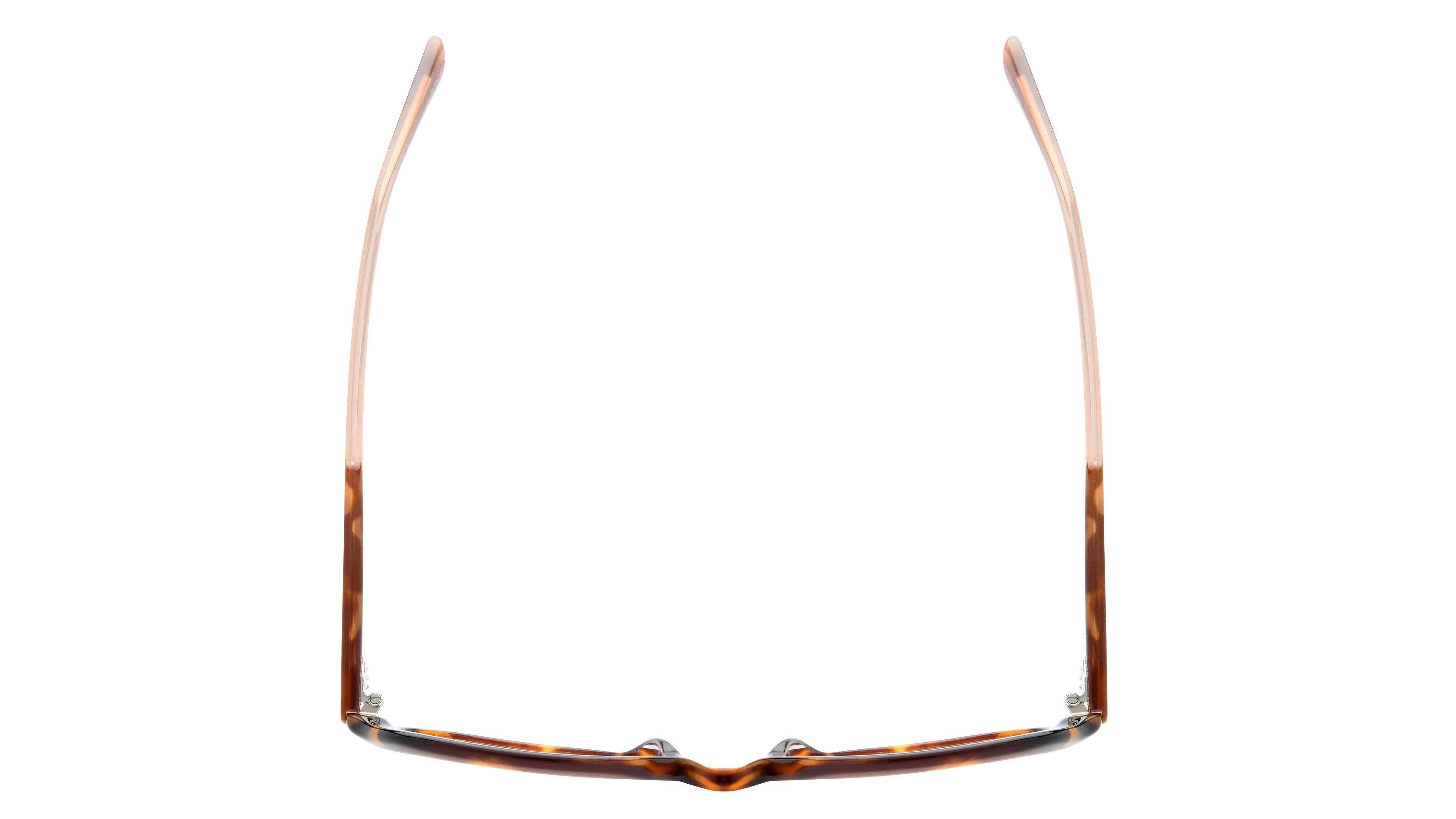 Lunettes de vue Sandro Femme Écaille Rectangle SD2055 Dessus