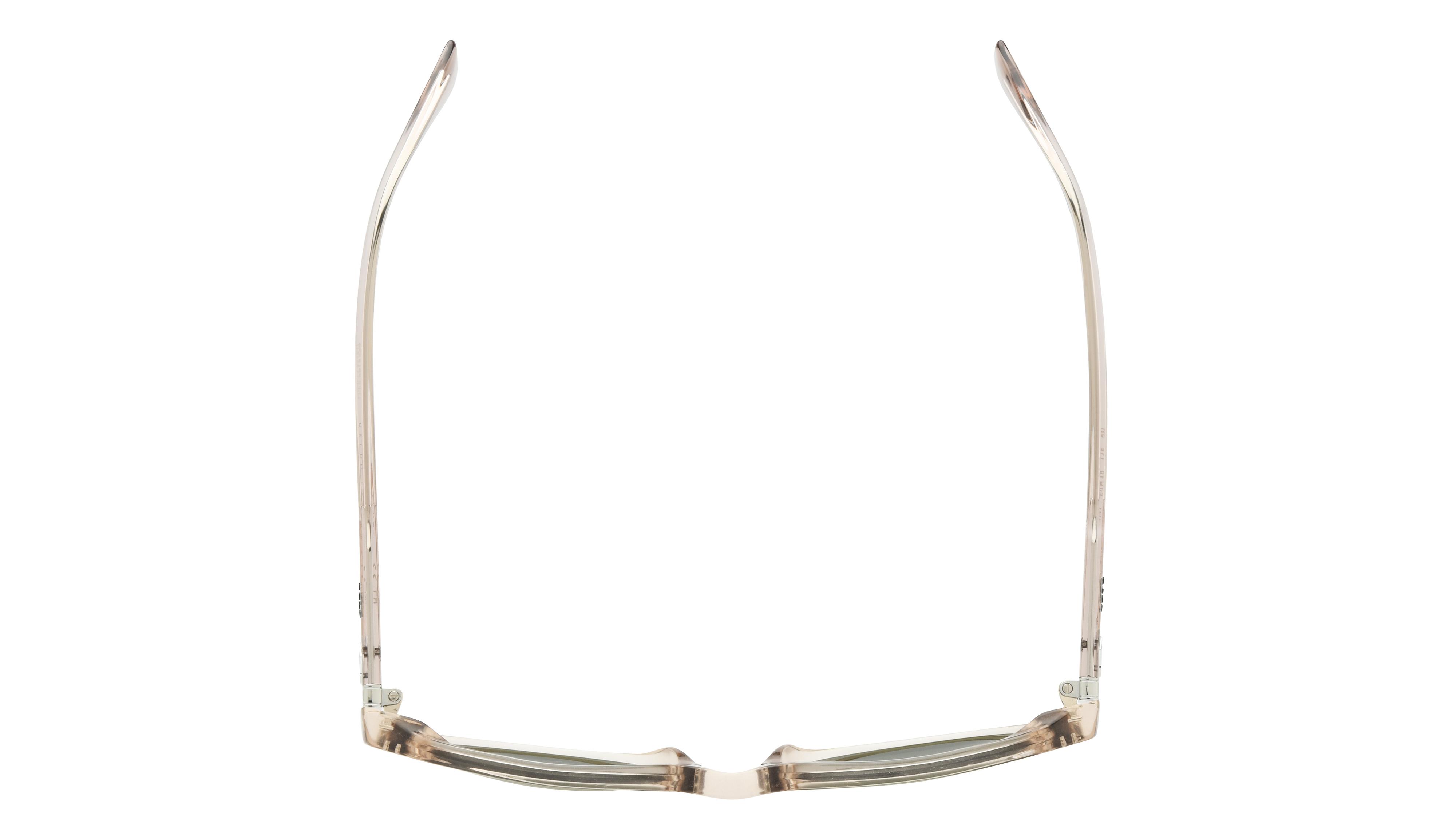 Lunettes de soleil Polo Ralph Lauren Homme Marron Pantos PH4221 Dessus