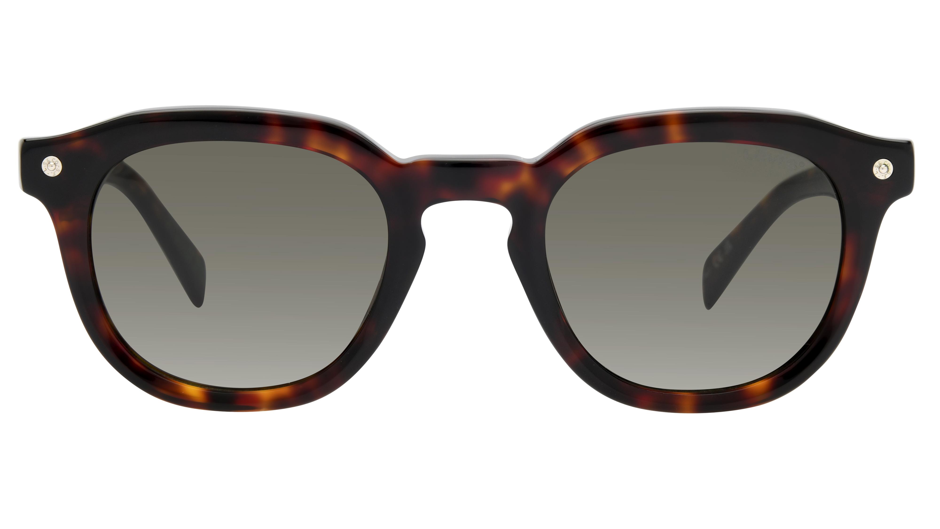 Lunettes de soleil Levi's Mixte Écaille Pantos Lv5052/S Face