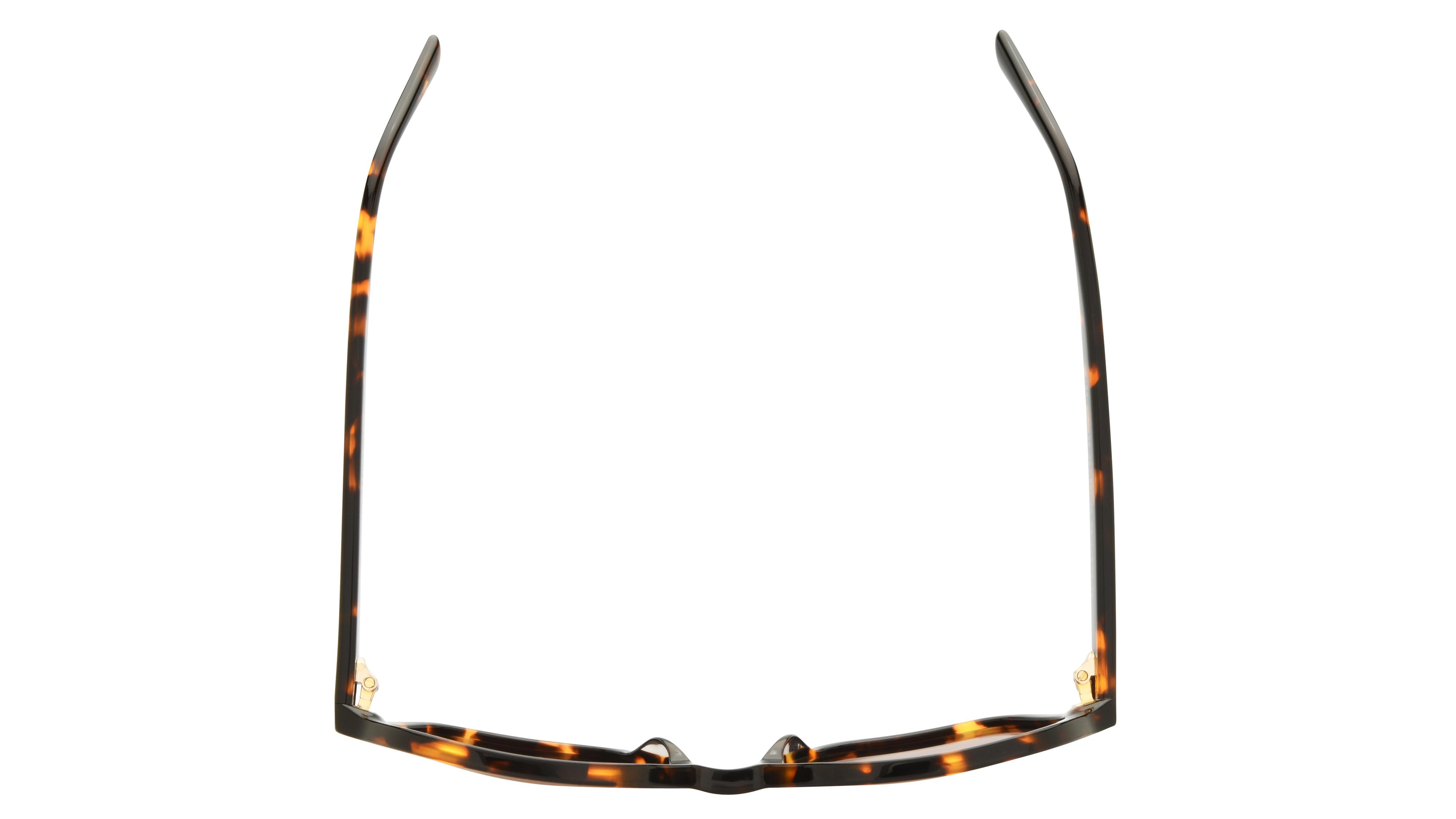 Lunettes de soleil Signature Krys Femme Écaille Tonneau skj2616-d Dessus