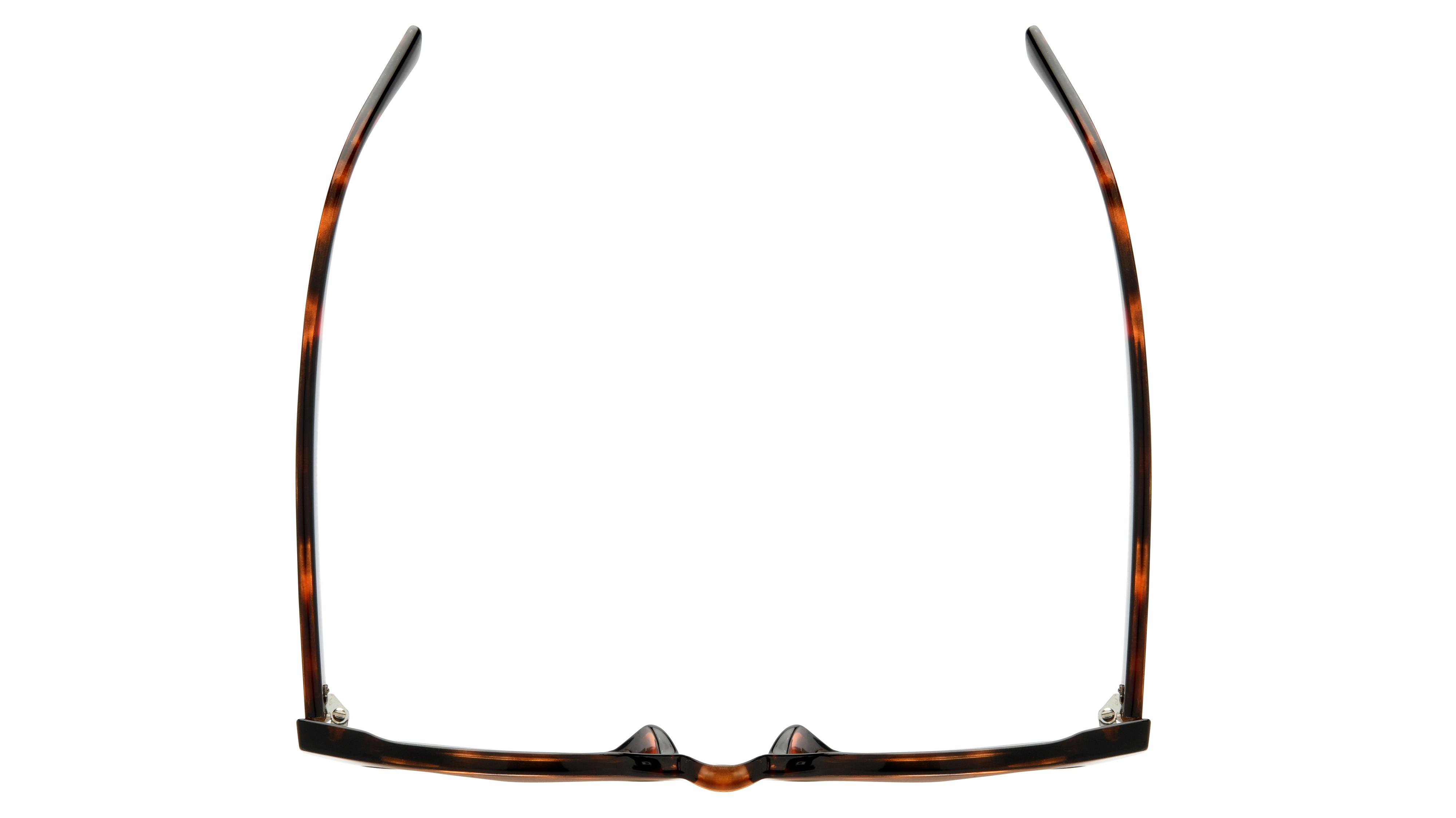 Lunettes de soleil Signature Krys Femme Écaille Papillon Skj2504-B Dessus