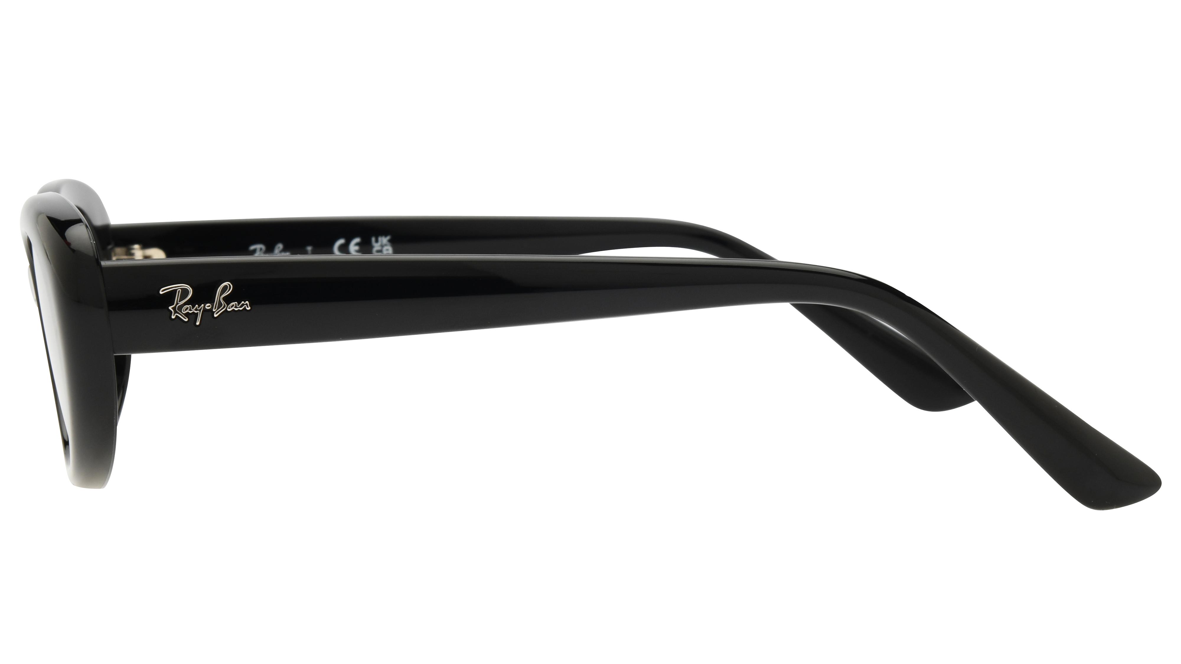 Lunettes de soleil Ray-Ban Mixte Noir Ovale RB4441D Gauche