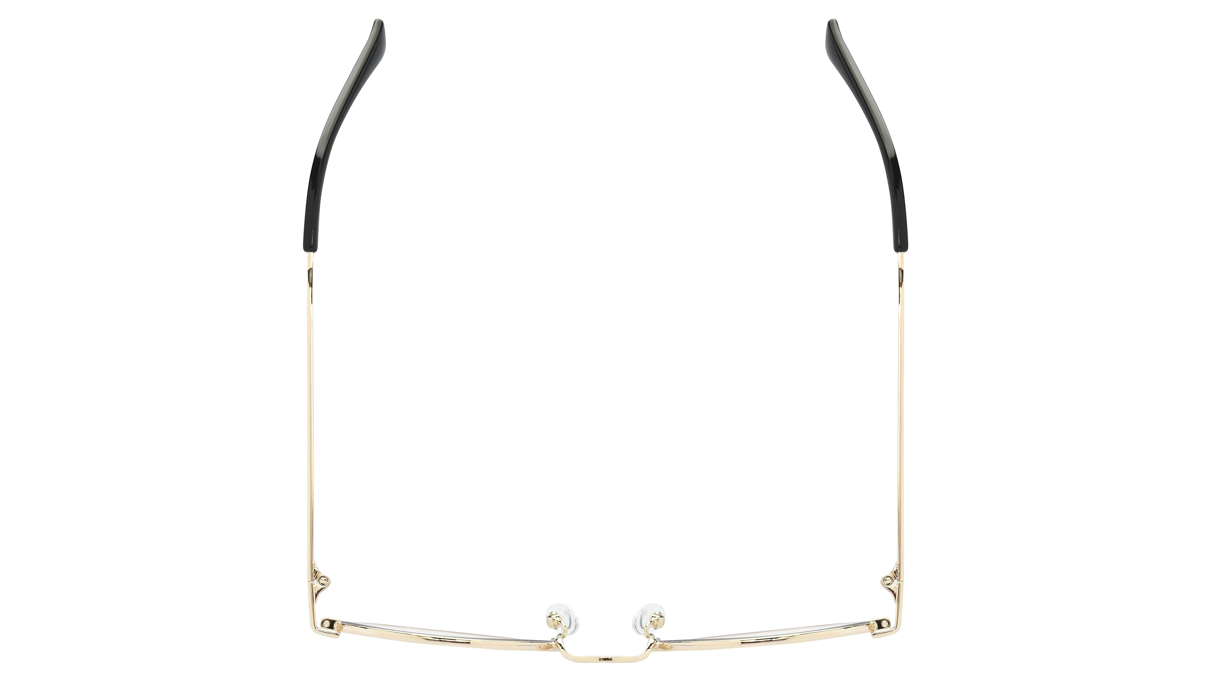 Lunettes anti-lumière bleue Signature Krys Mixte Or Pantos Skpap-E2113 Dessus