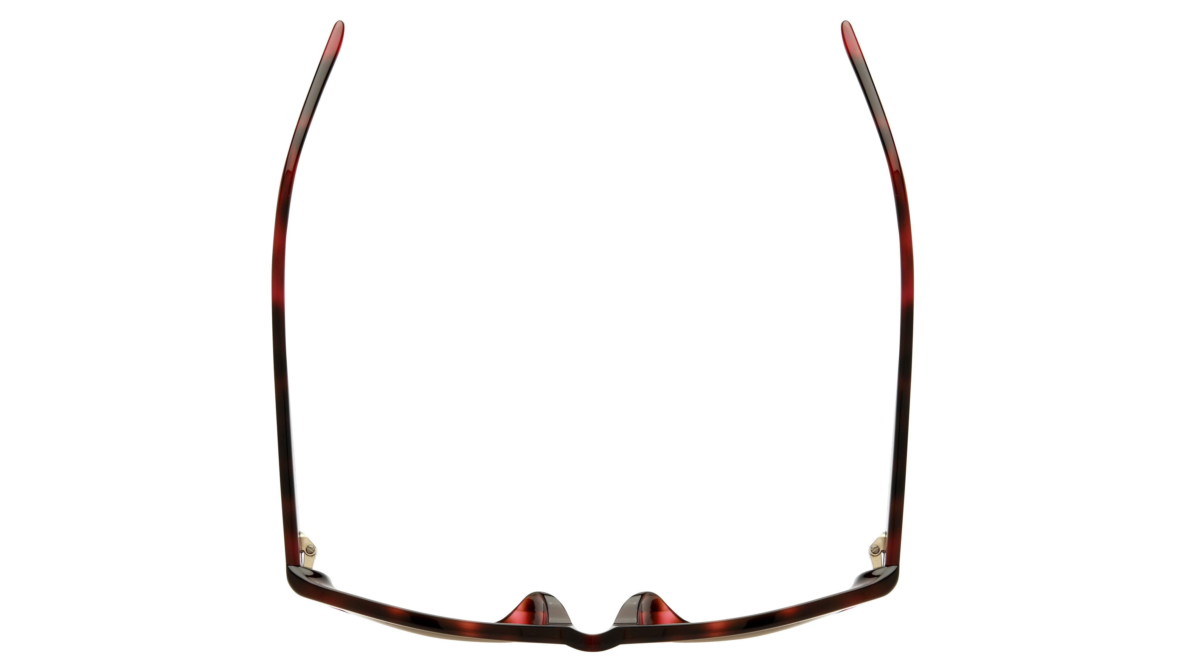 Lunettes de soleil Balenciaga Femme Écaille Ovale Bb0369Sk Dessus
