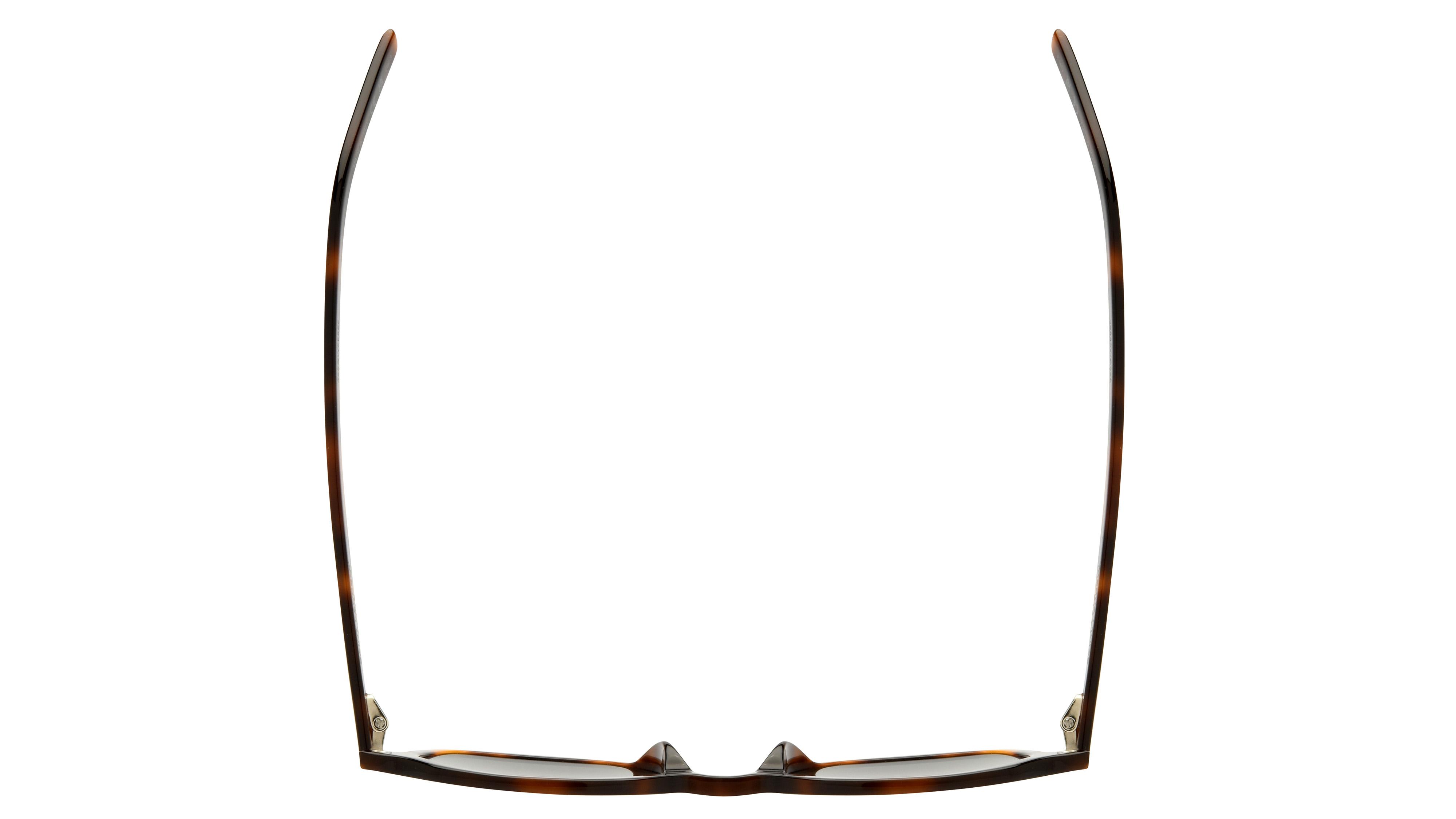 Lunettes de soleil Saint Laurent Mixte Écaille Carré SL Dessus