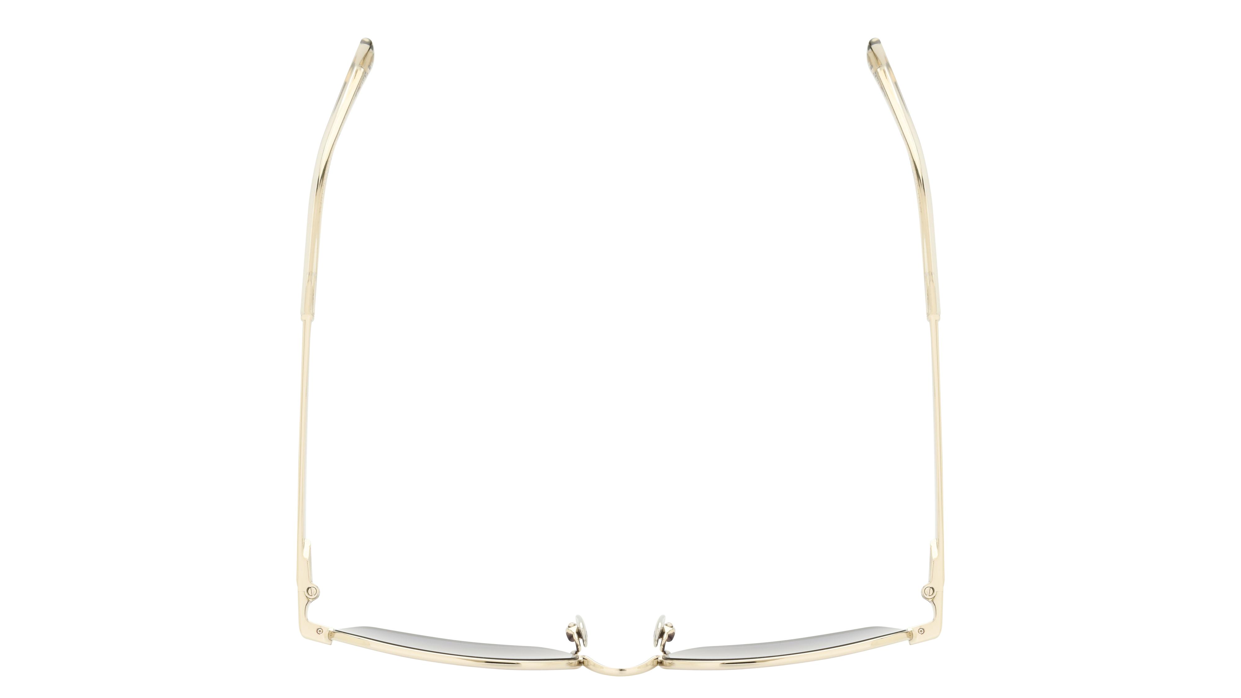 Lunettes de soleil Sandro Femme Argent Rectangle SD8024 Dessus