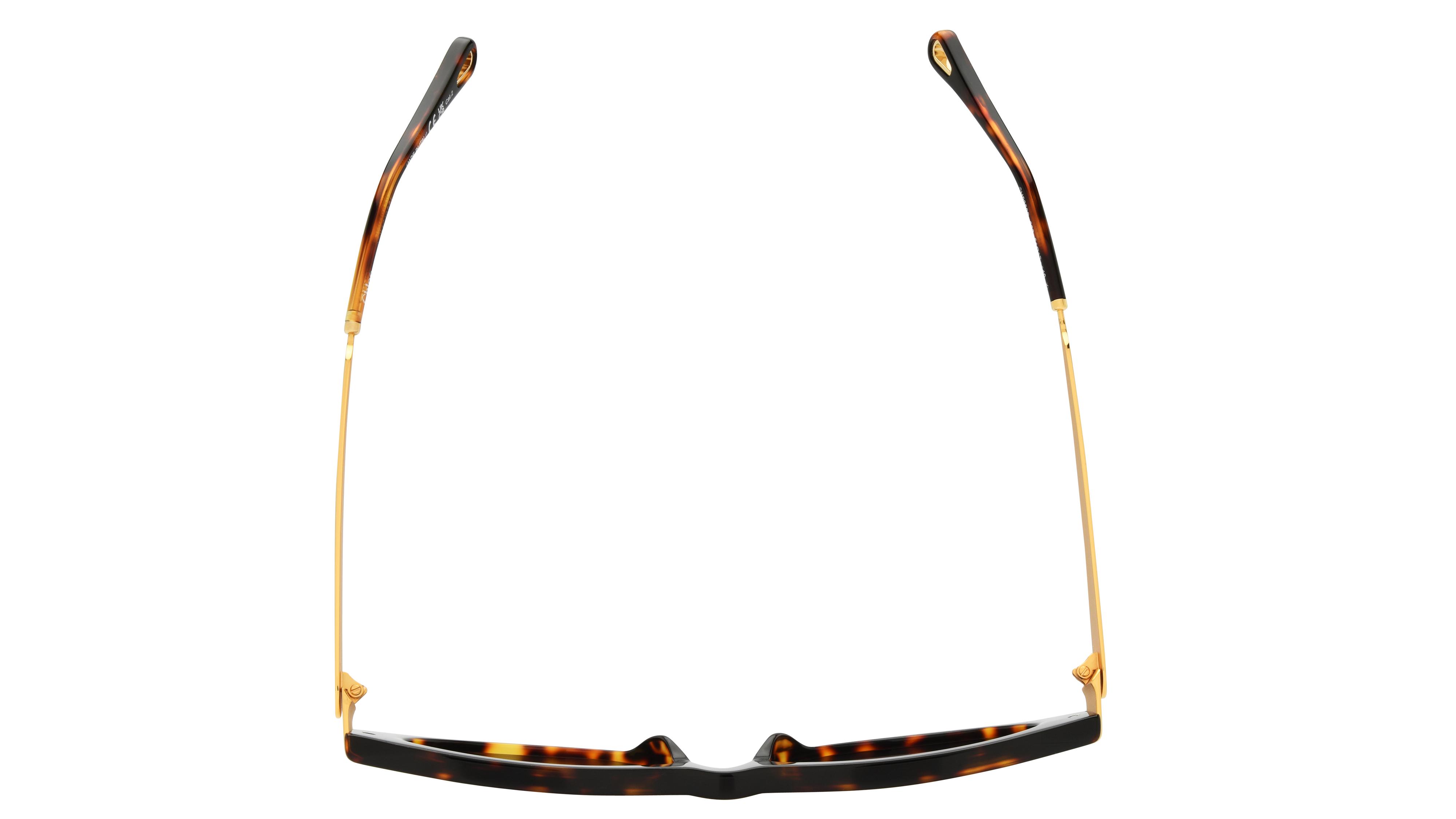 Lunettes de soleil Chloé Femme Écaille Papillon ch0350s Dessus