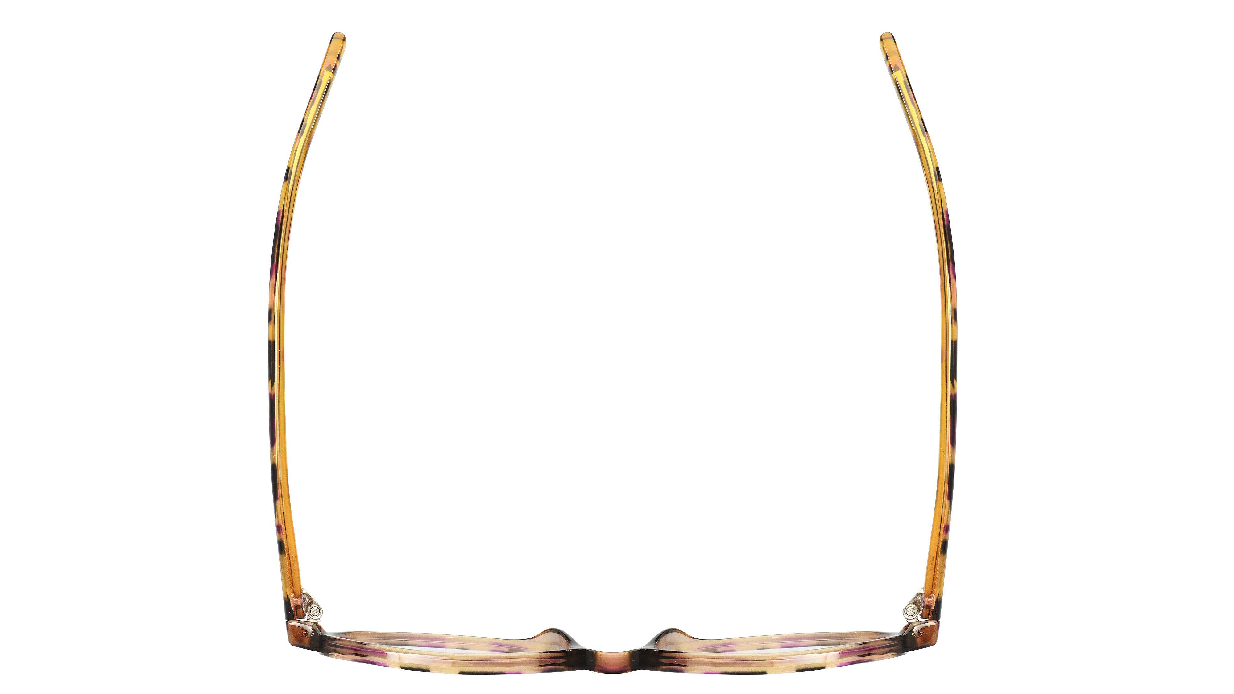 Lunettes de vue Alternance Femme Écaille Ronde Alt21105 Dessus