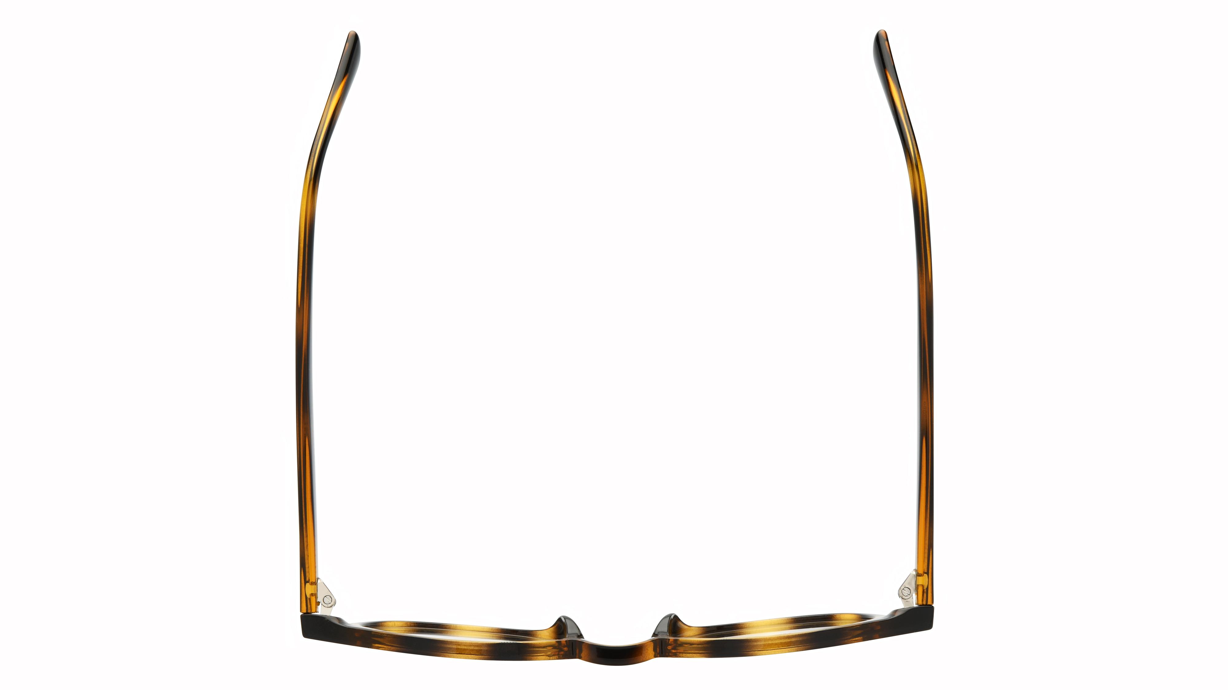 Lunettes de vue Krys Origine Homme Écaille Pantos Ess2604 Dessus