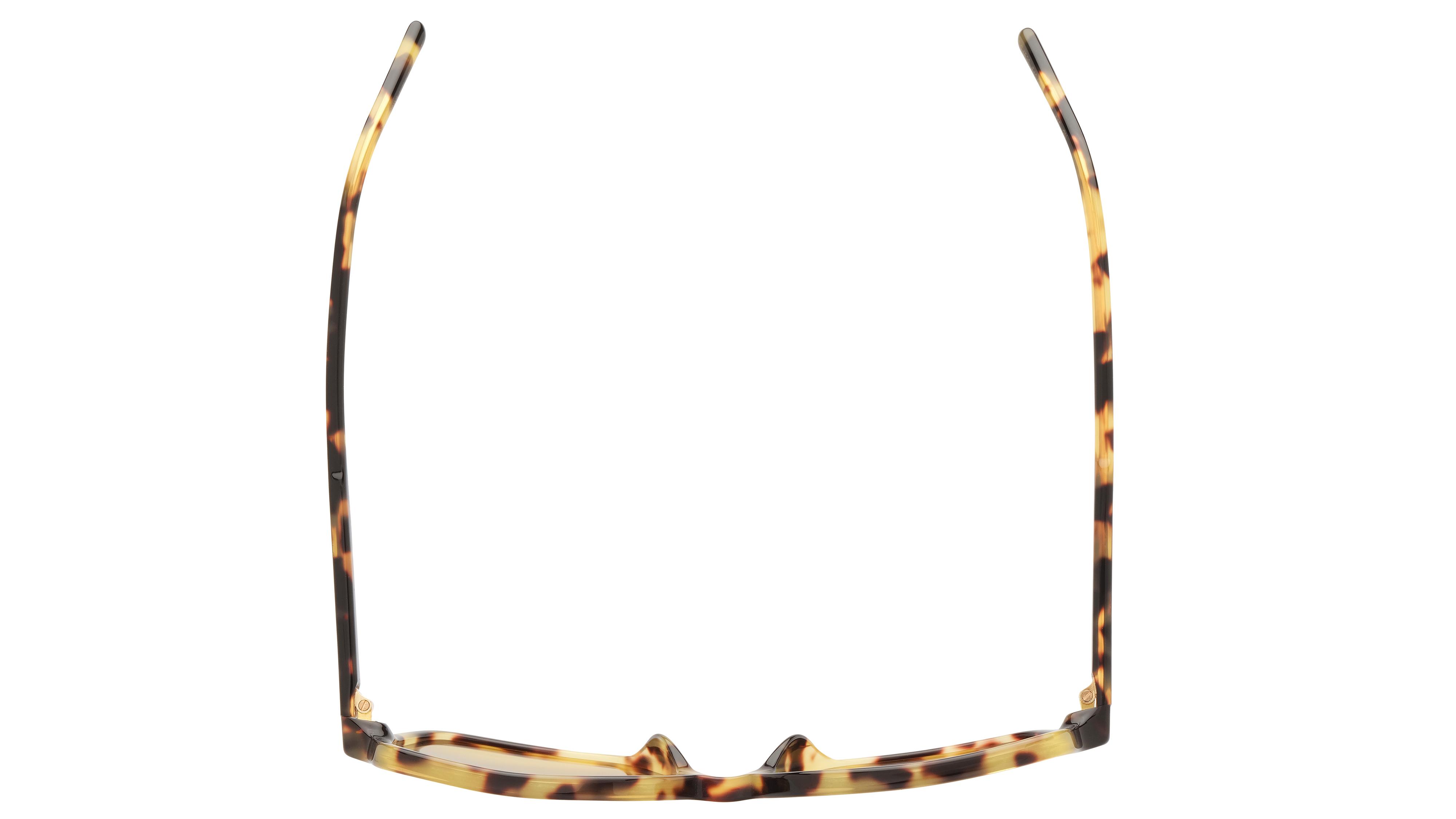 Lunettes de soleil Dolce&Gabbana Femme Écaille Carré dg4539 Dessus