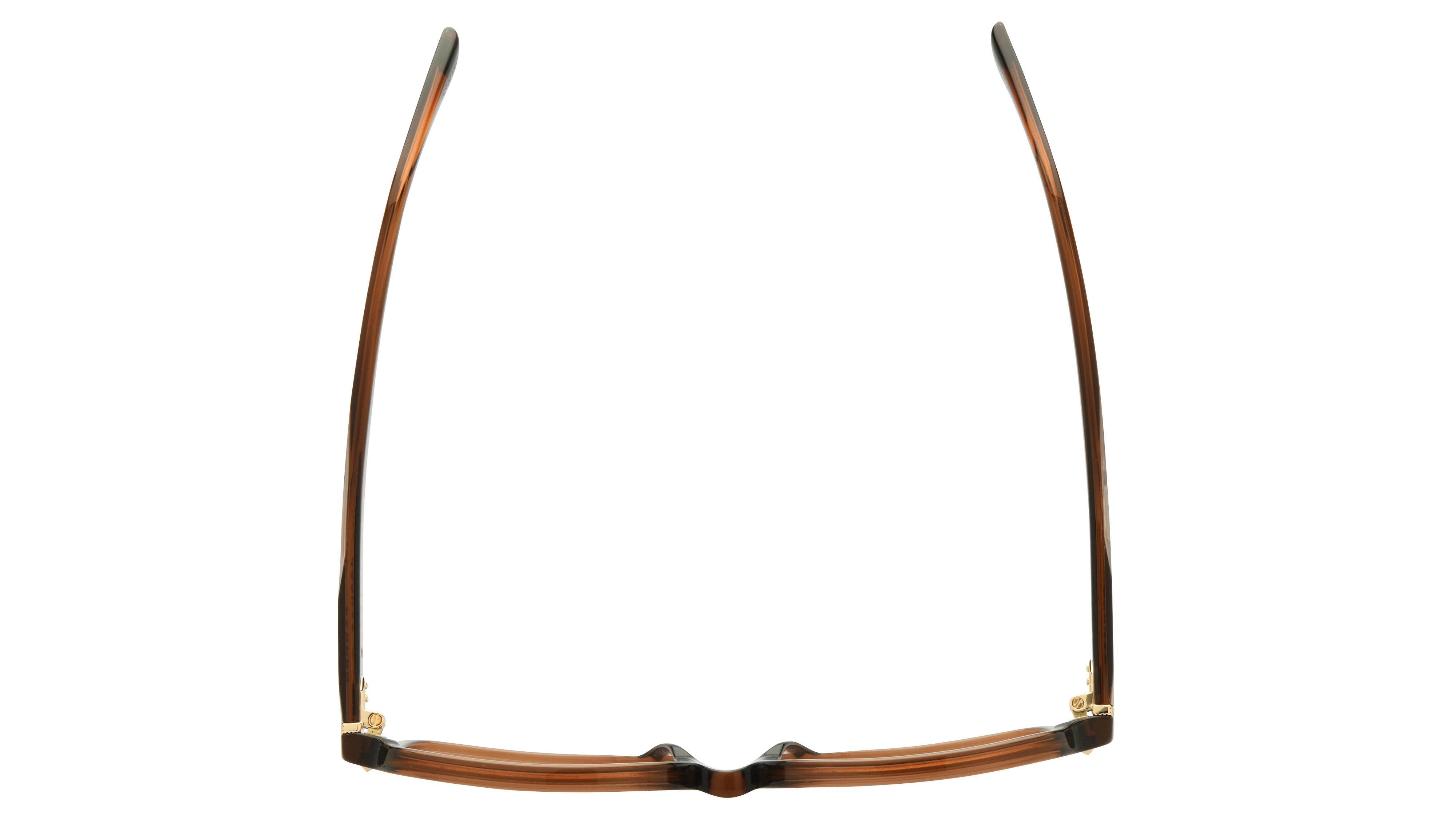Lunettes de vue Sandro Femme Marron Rectangle sd2065 Dessus