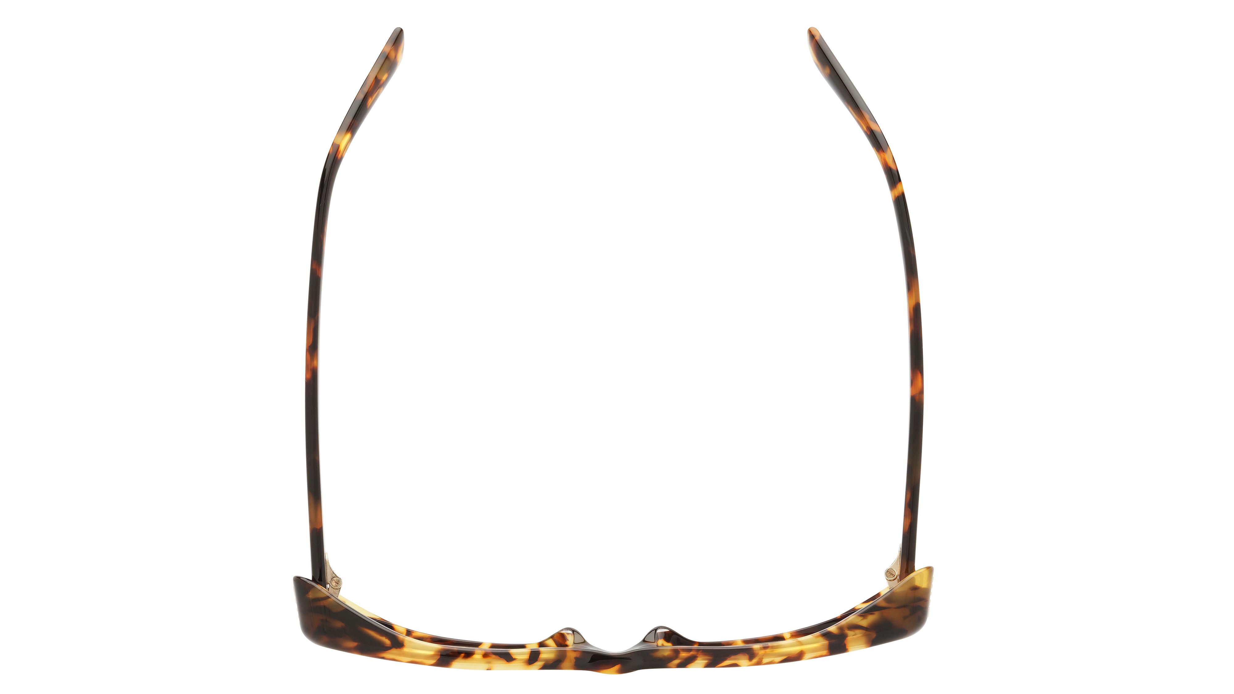 Lunettes de vue Miu Miu Femme Écaille Ovale Mu Dessus