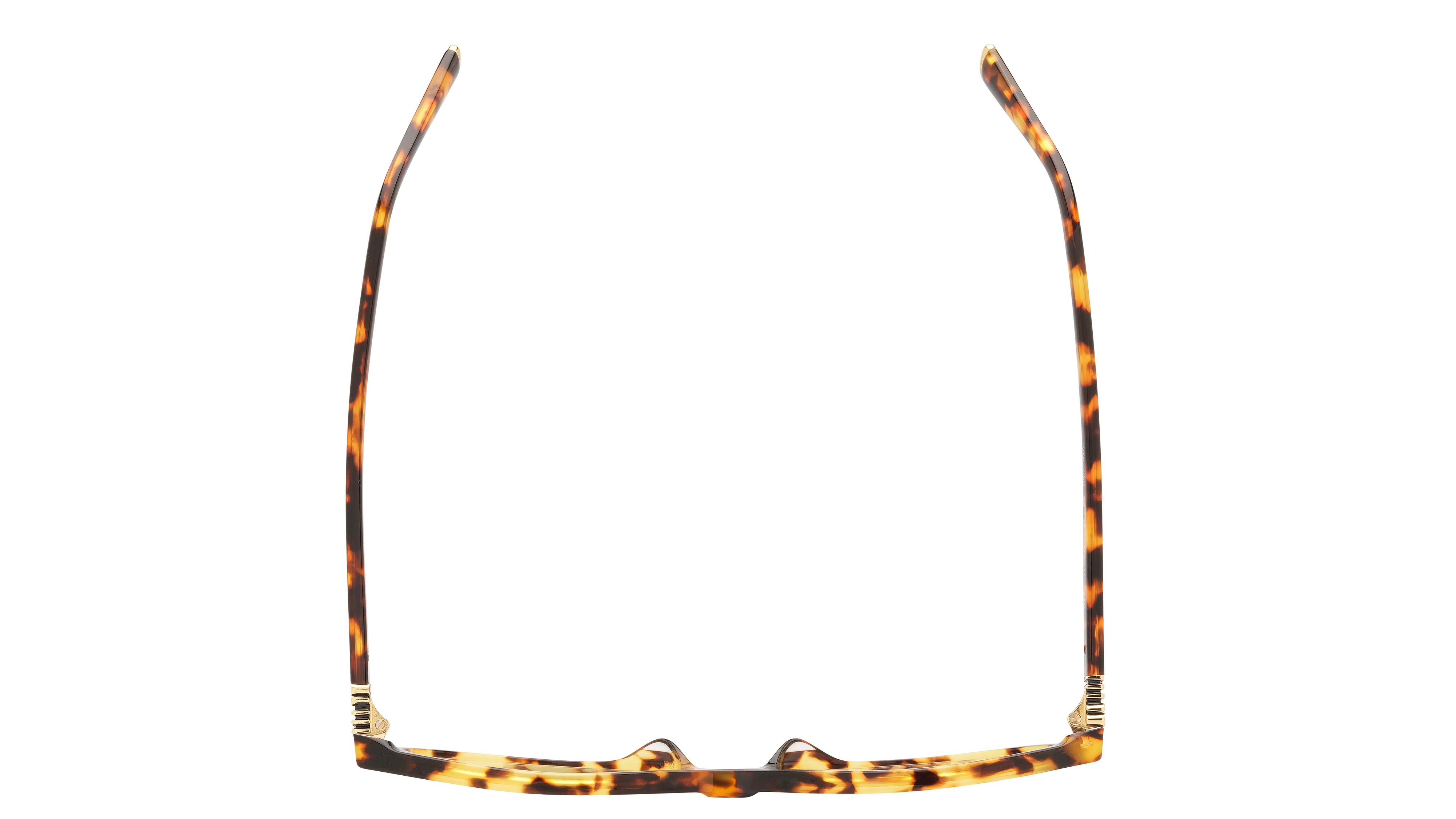 Lunettes de vue Miu Miu Femme Écaille Ovale Mu Dessus