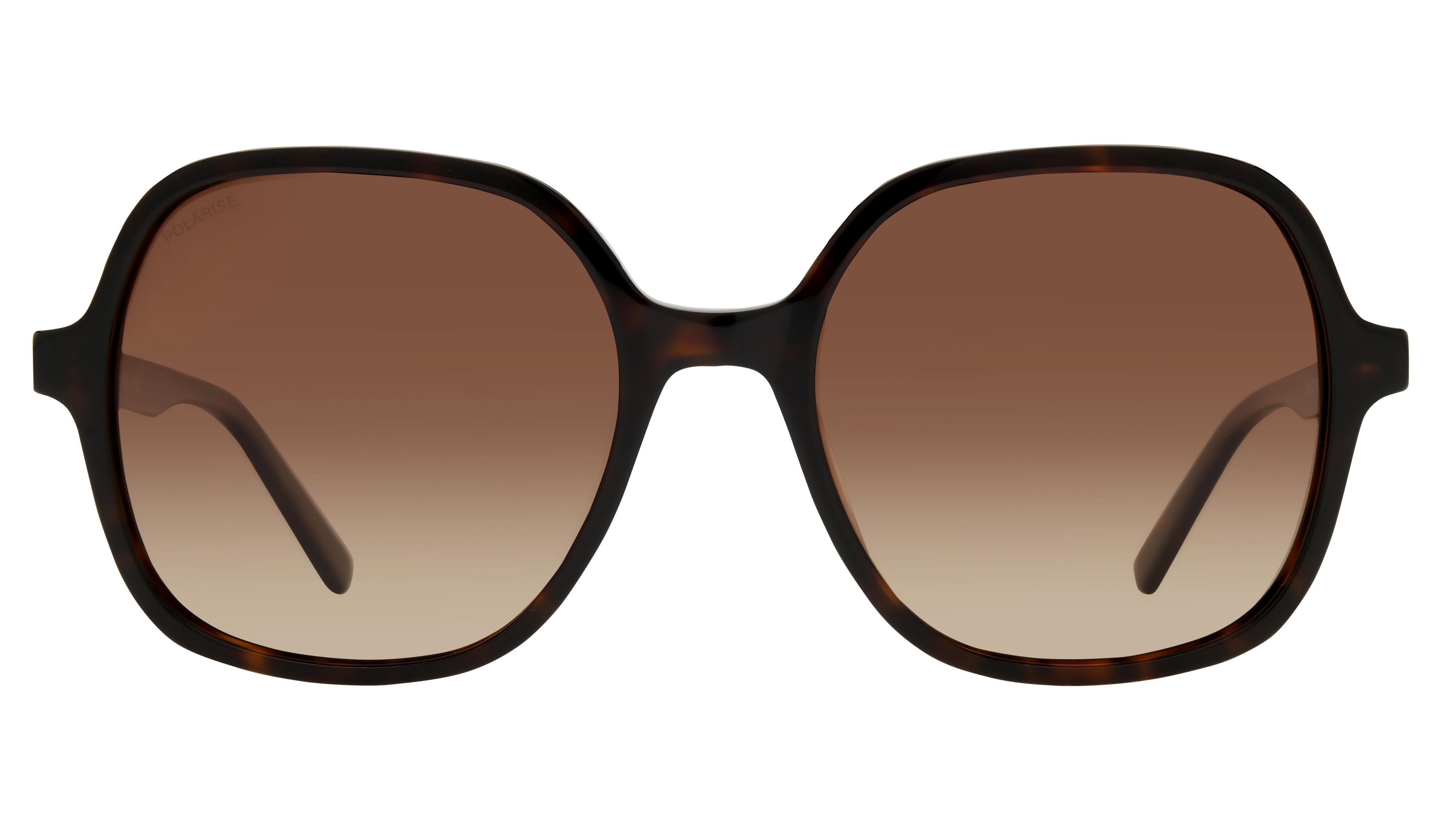Lunettes de soleil Signature Krys Femme Écaille Carré Skj2529-D Face