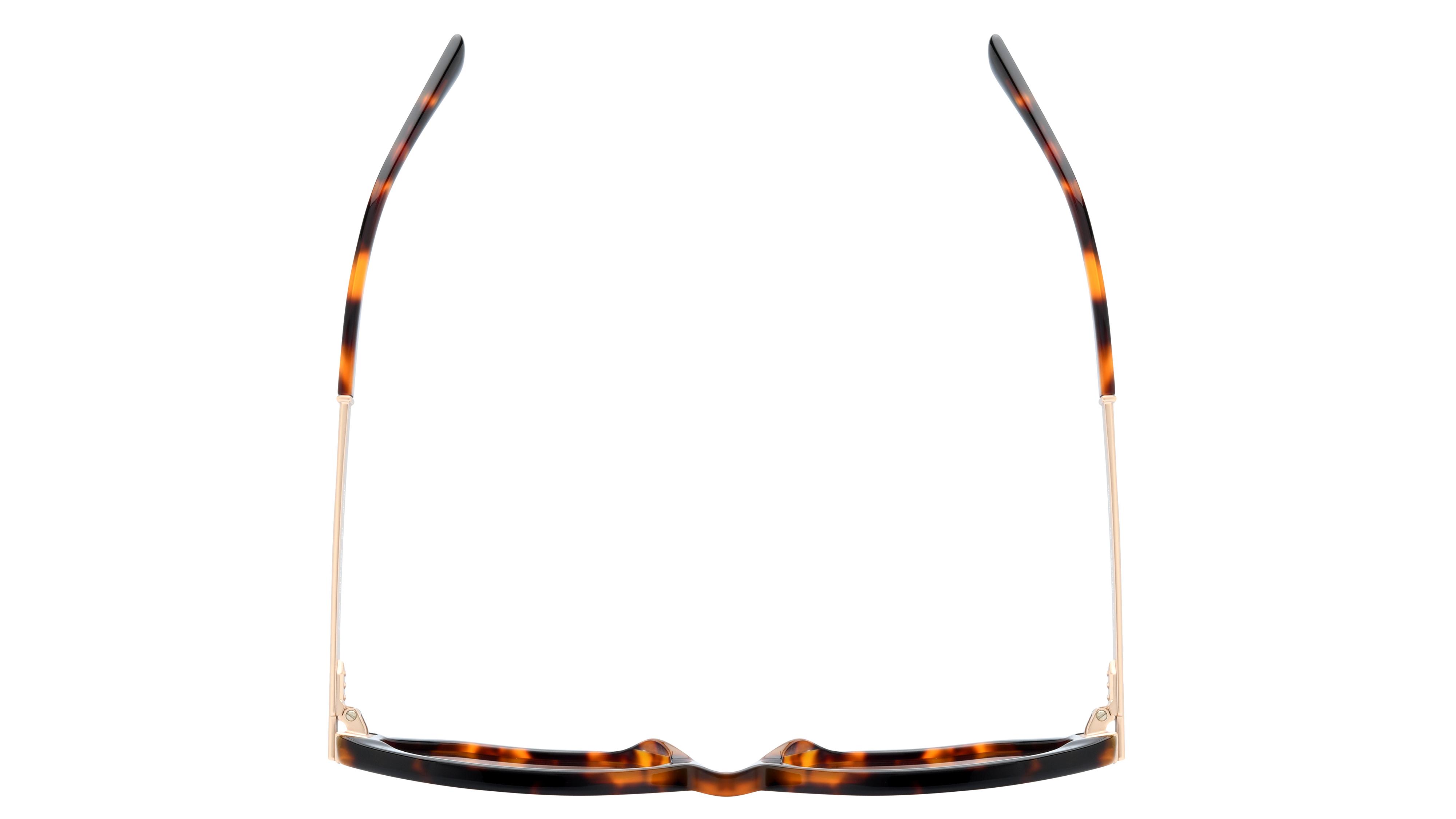 Lunettes de soleil Sandro Femme Écaille Rectangle Sd6046 Dessus