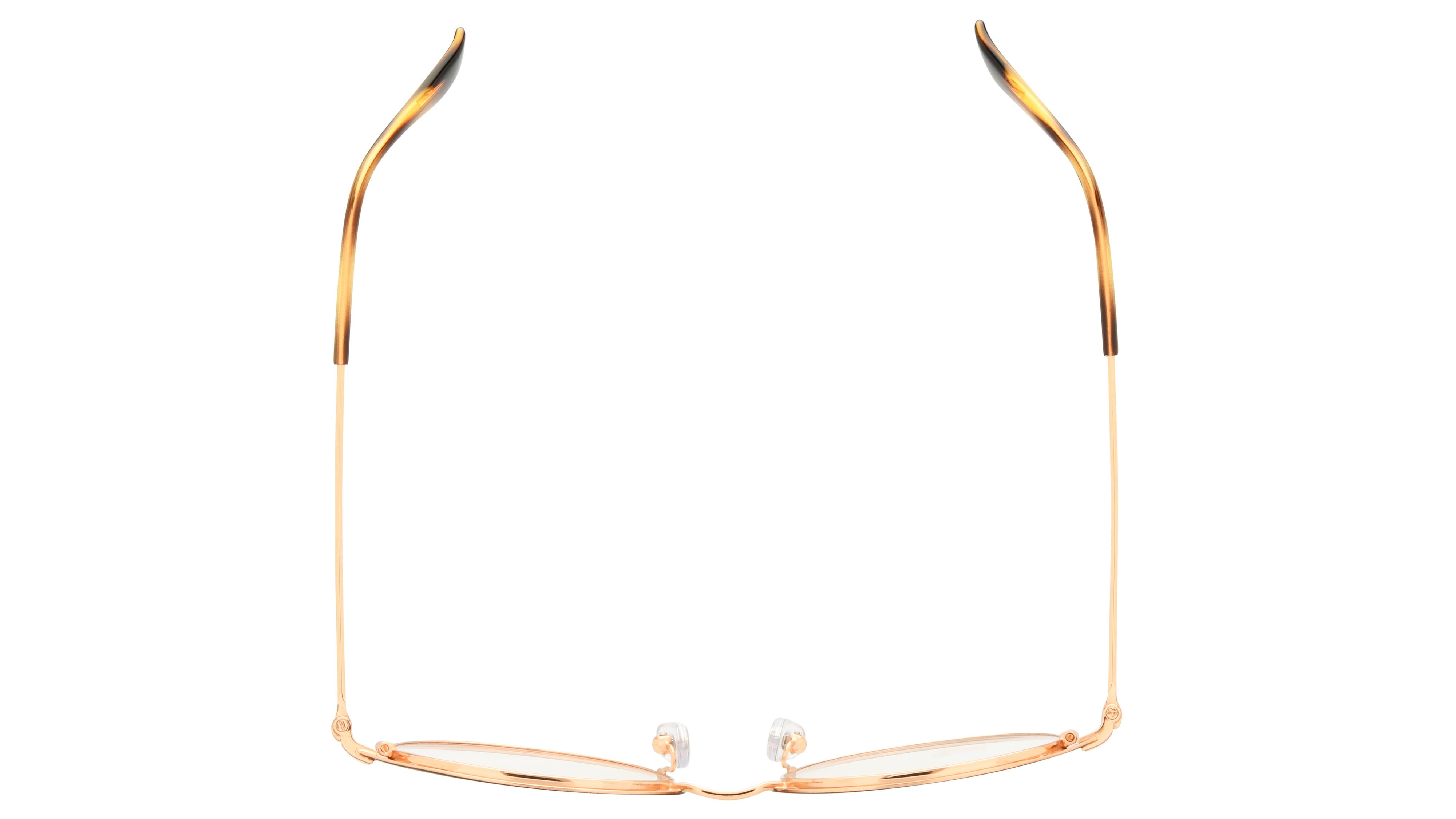 Lunettes de vue Ray-Ban Enfant Marron Ronde Ry1058 Dessus