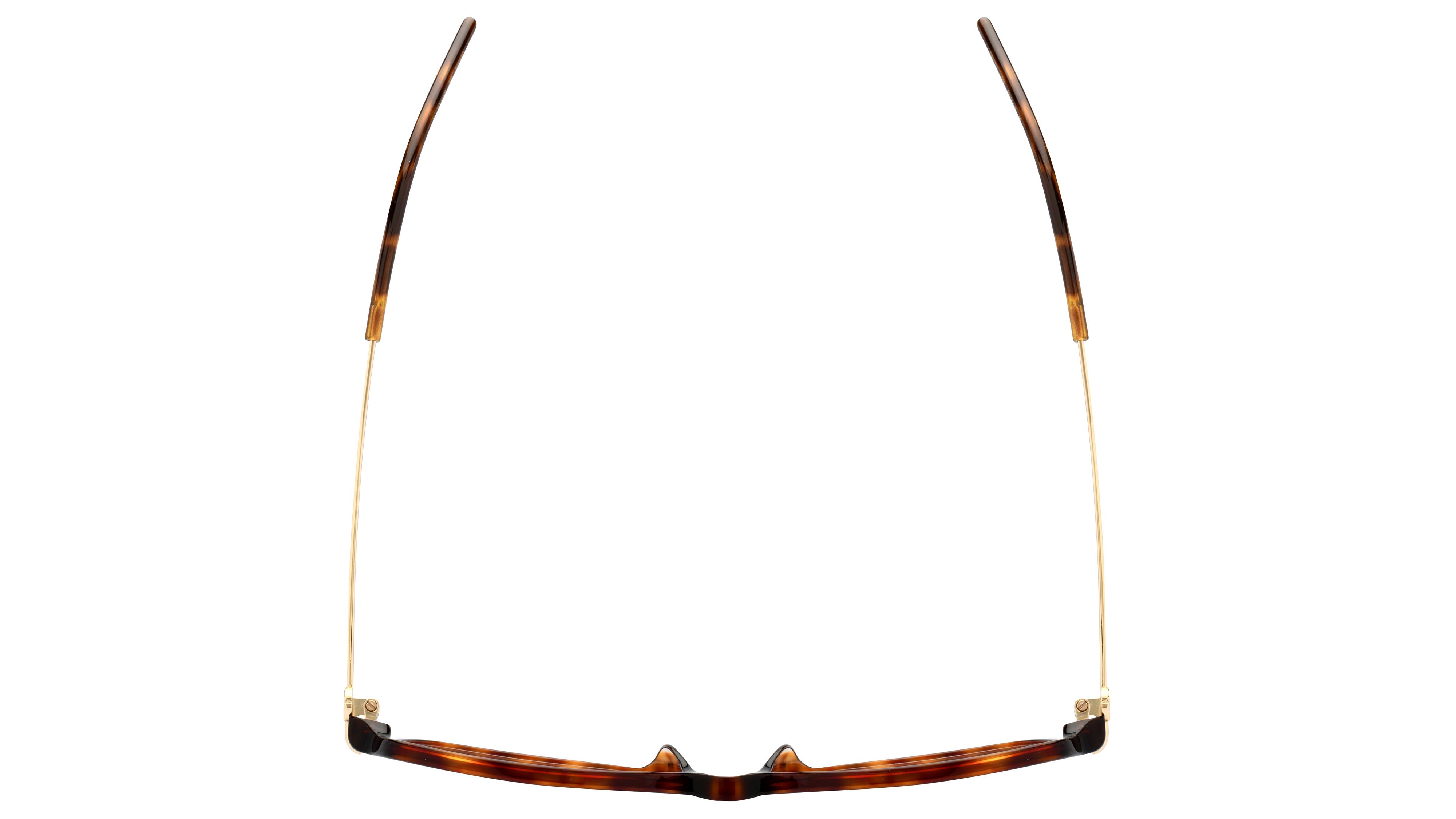 Lunettes de vue Gucci Femme Écaille Carré GG1271O Dessus
