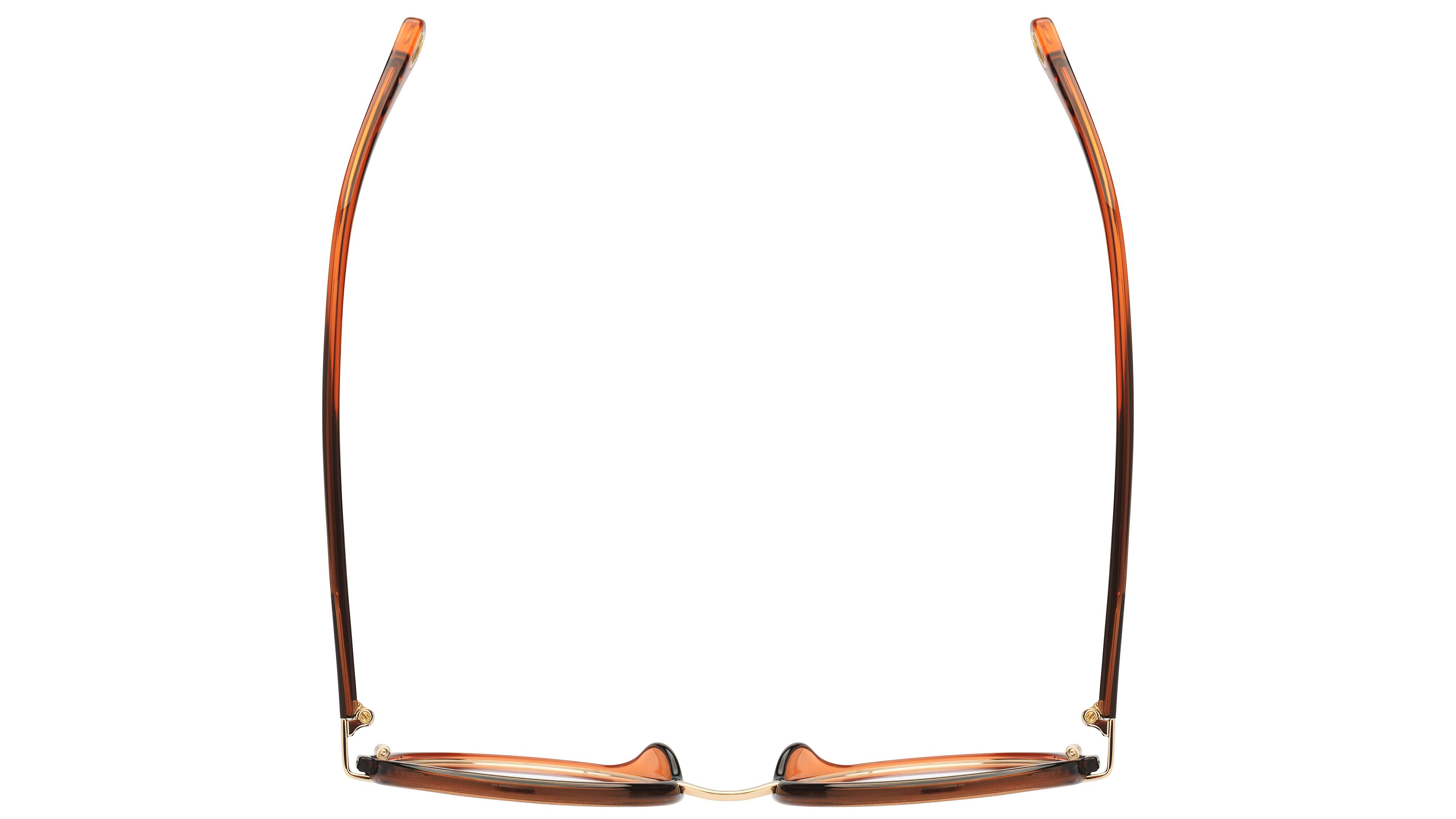 Lunettes de vue Chloé Femme Marron Ronde CH0033O Dessus