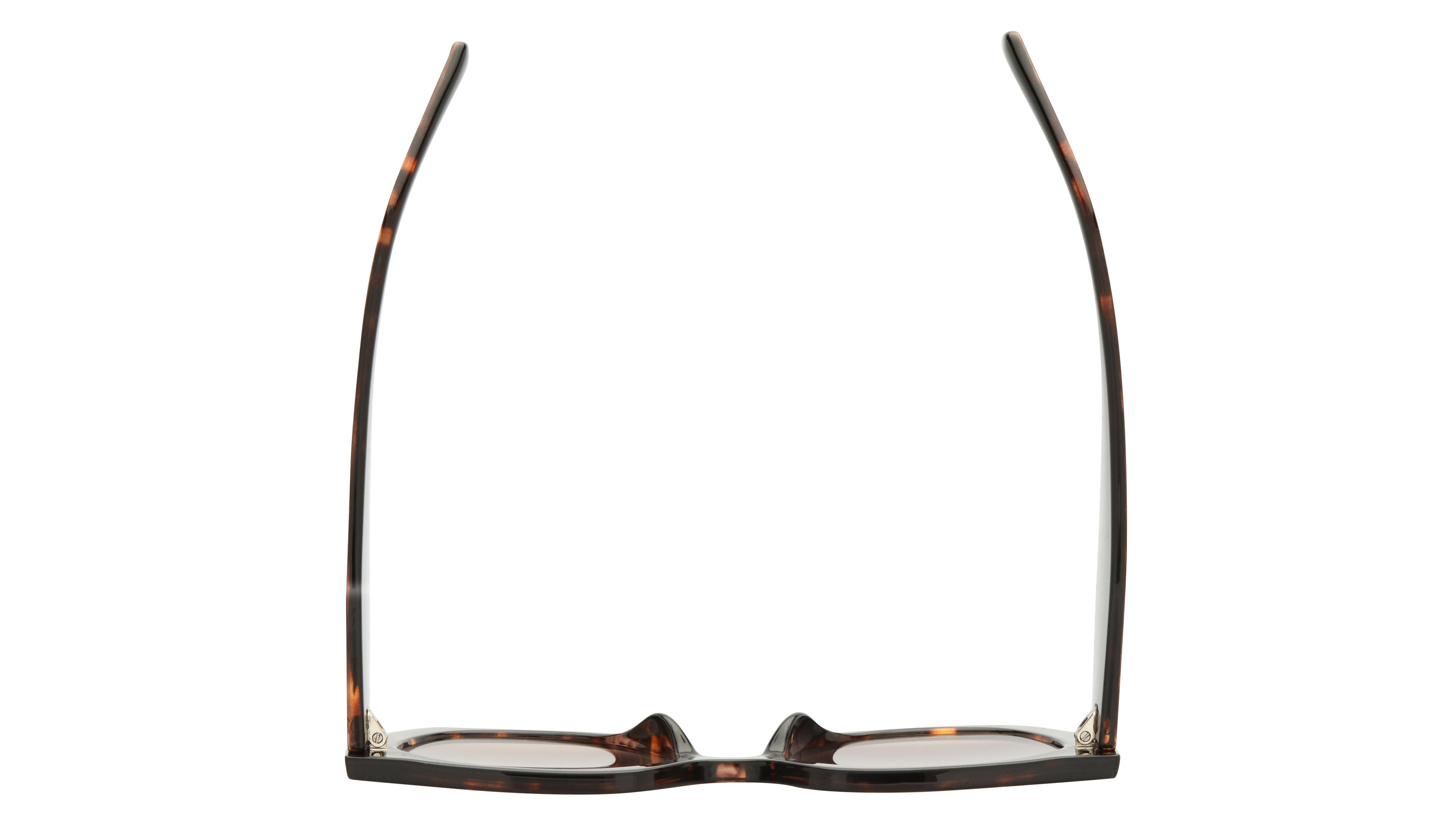 Lunettes de soleil Signature Krys Femme Écaille Angulaire skj2601-b Dessus