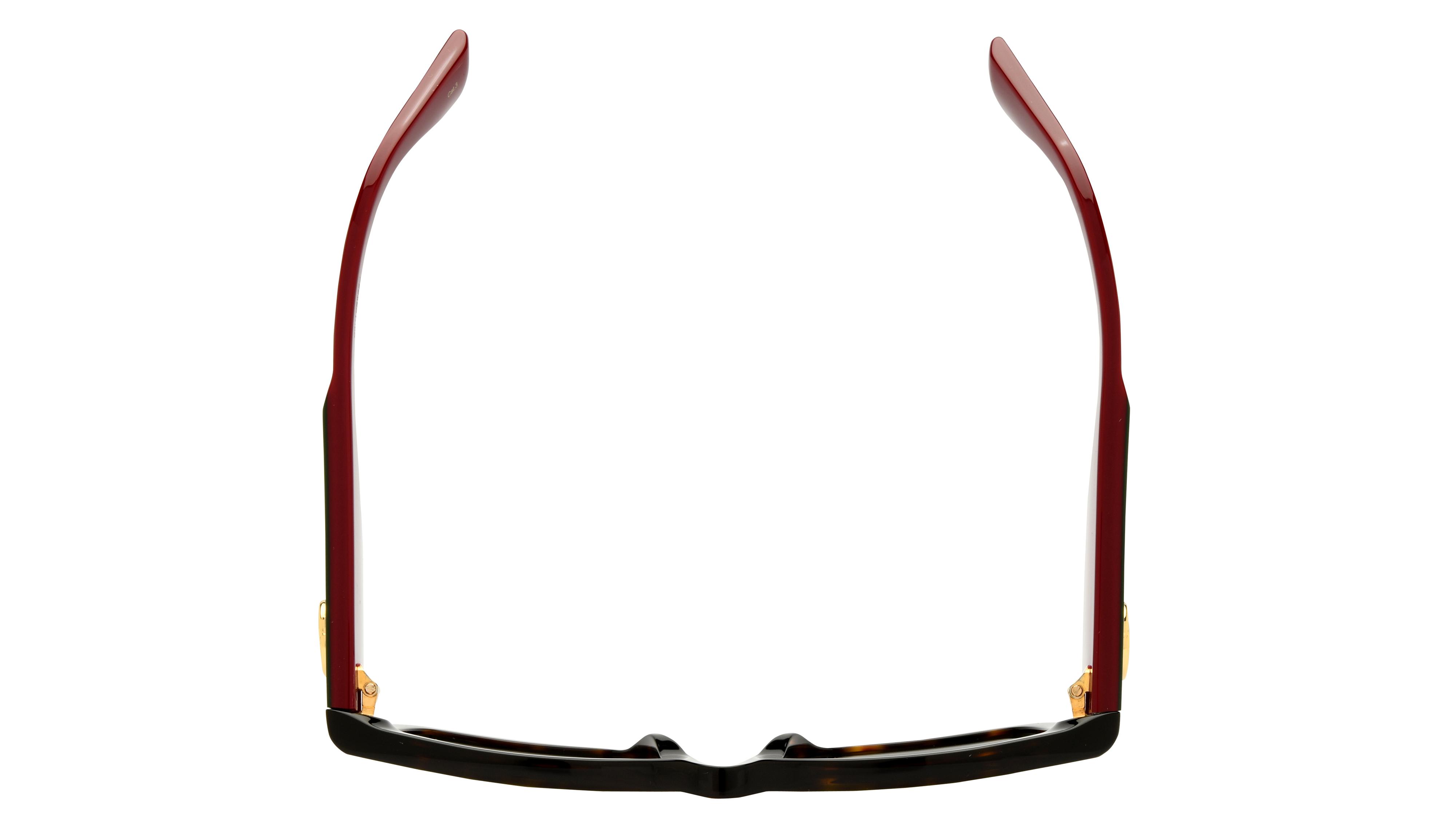 Lunettes de soleil Gucci Femme Écaille Carré Gg1663S Dessus