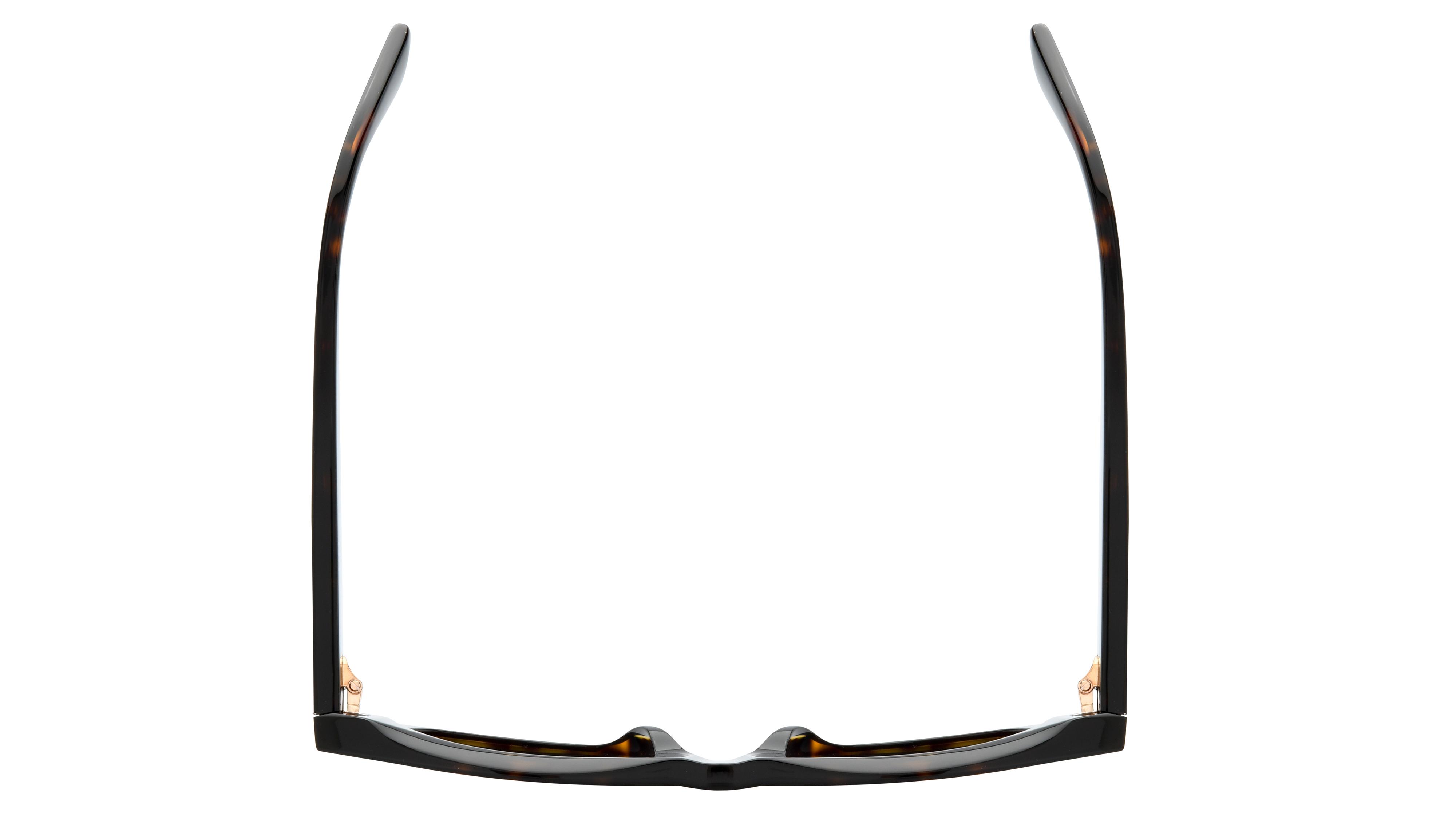 Lunettes de soleil Tom Ford Femme Écaille Carré FT1314 Dessus