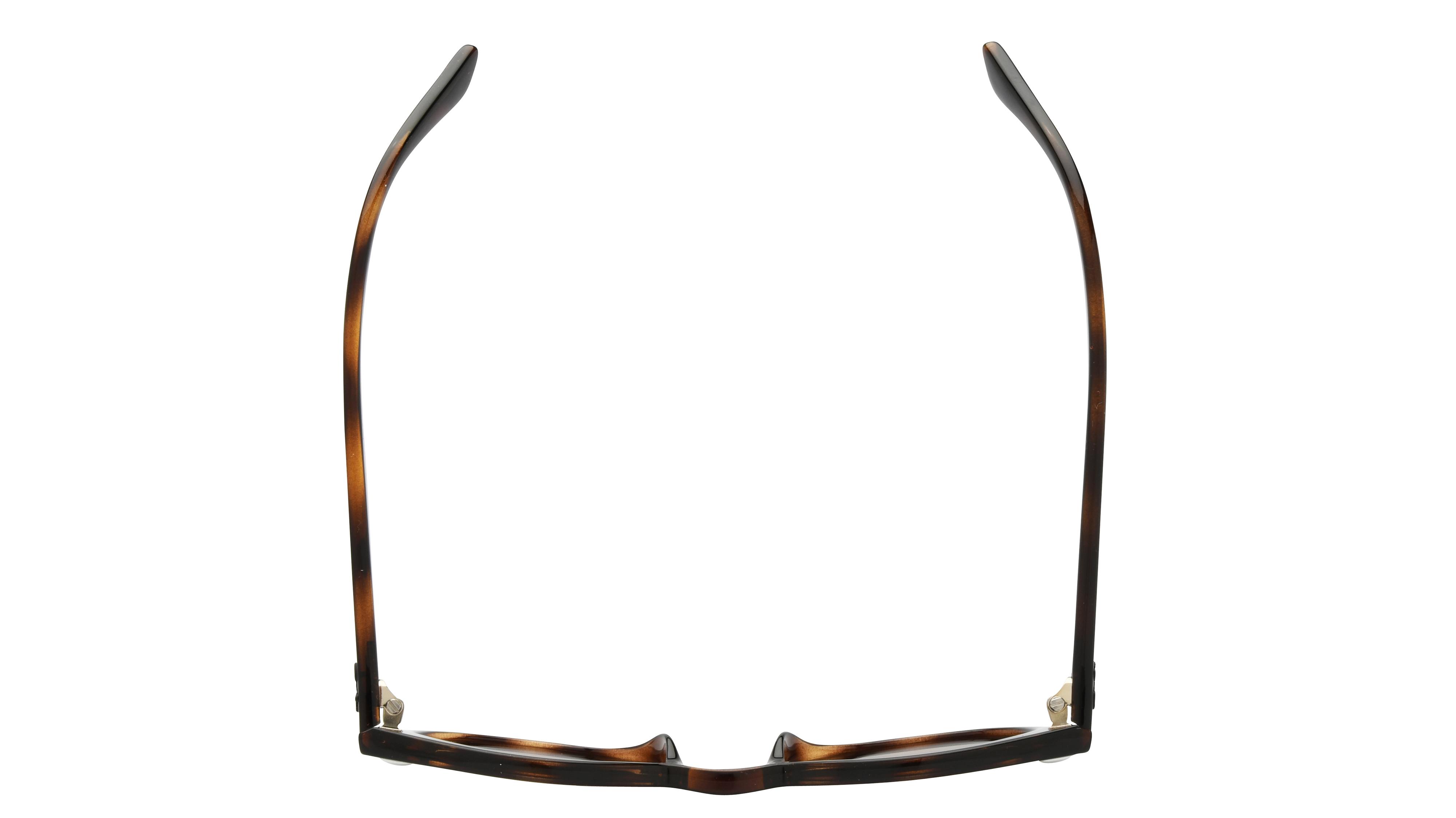 Lunettes de soleil Ray-Ban Mixte Écaille Pantos Rj9064S Dessus