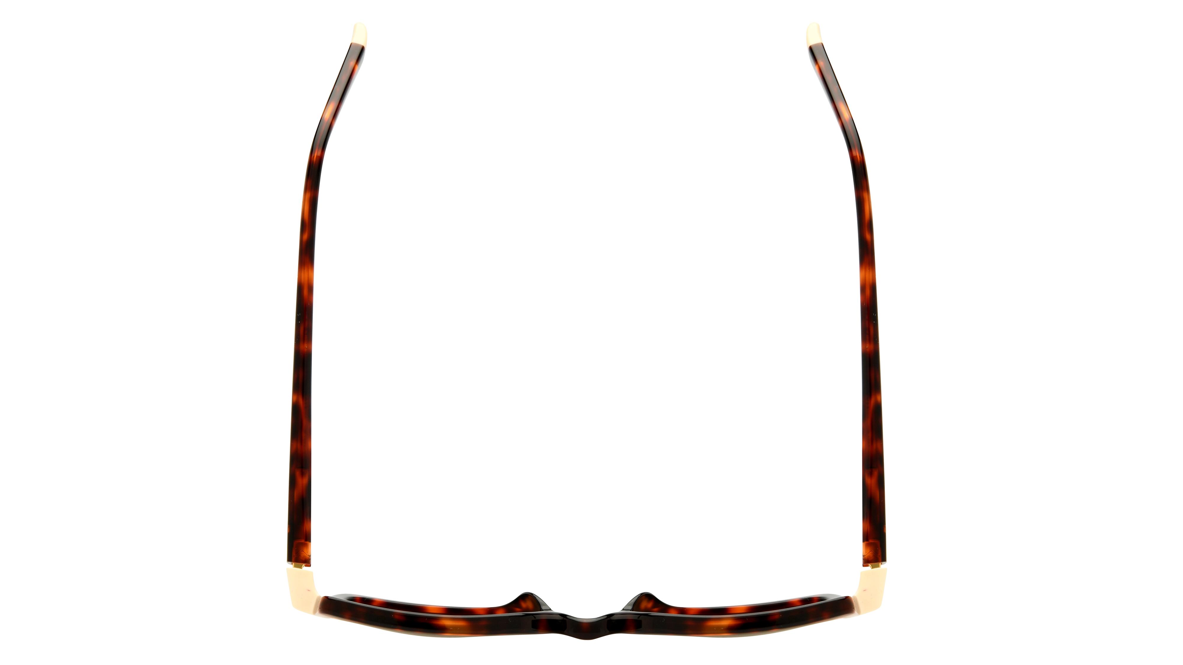 Lunettes de soleil Etnia Barcelona Femme Écaille Carré Sarria Dessus