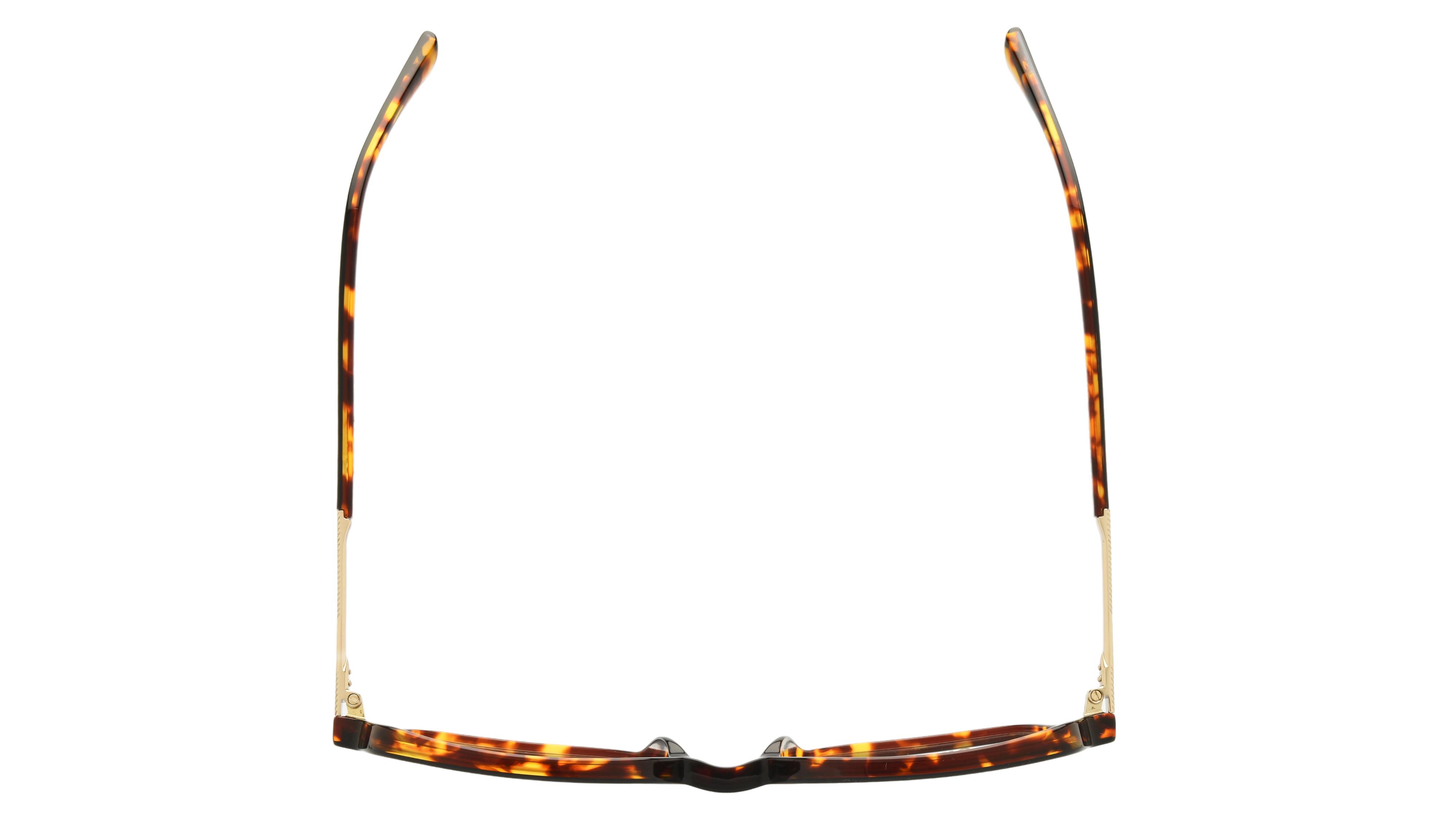 Lunettes de vue Sandro Femme Écaille Rectangle Sd2059 Dessus