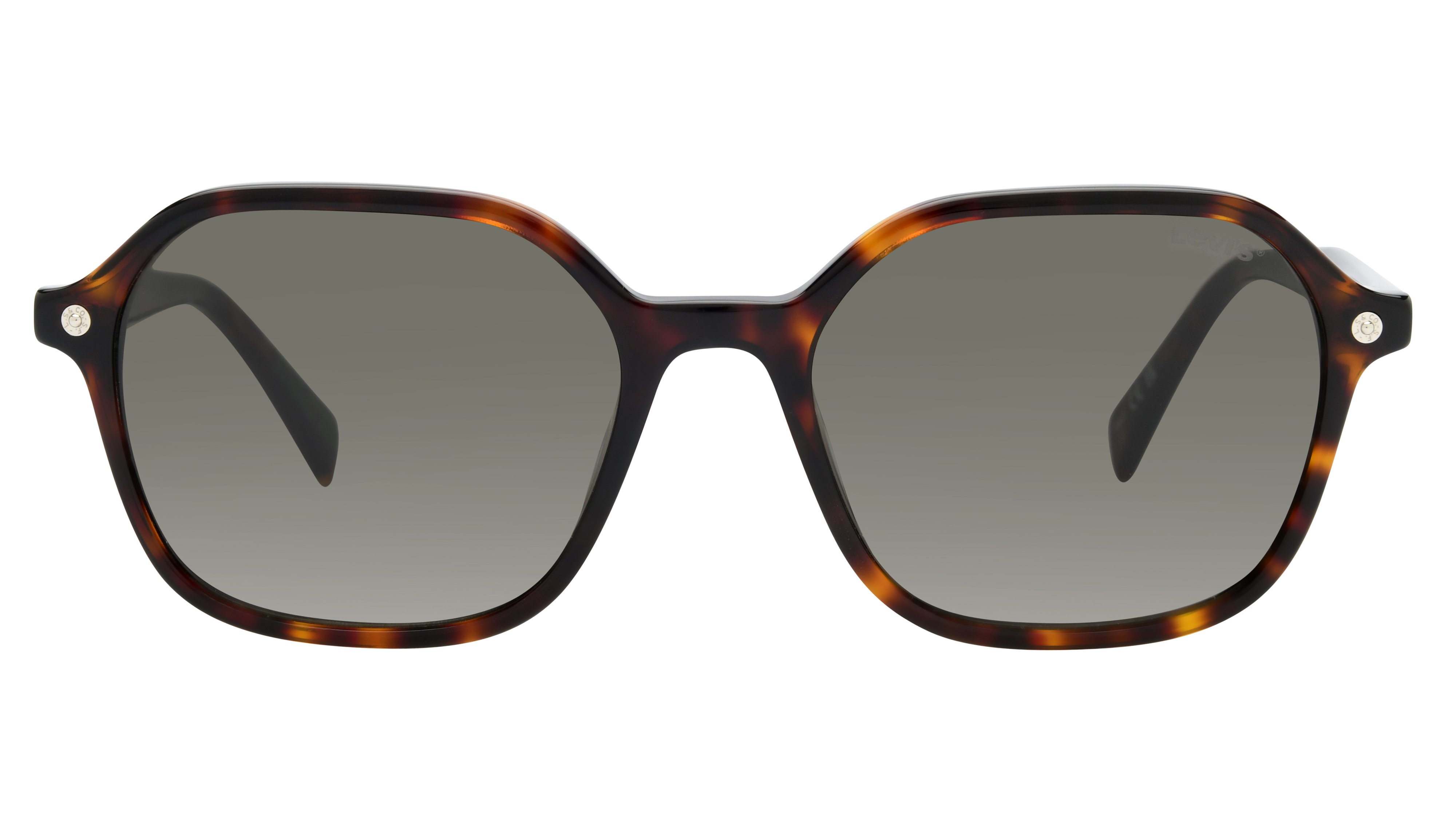 Lunettes de soleil Levi's Mixte Écaille Pantos Lv5051/S Face