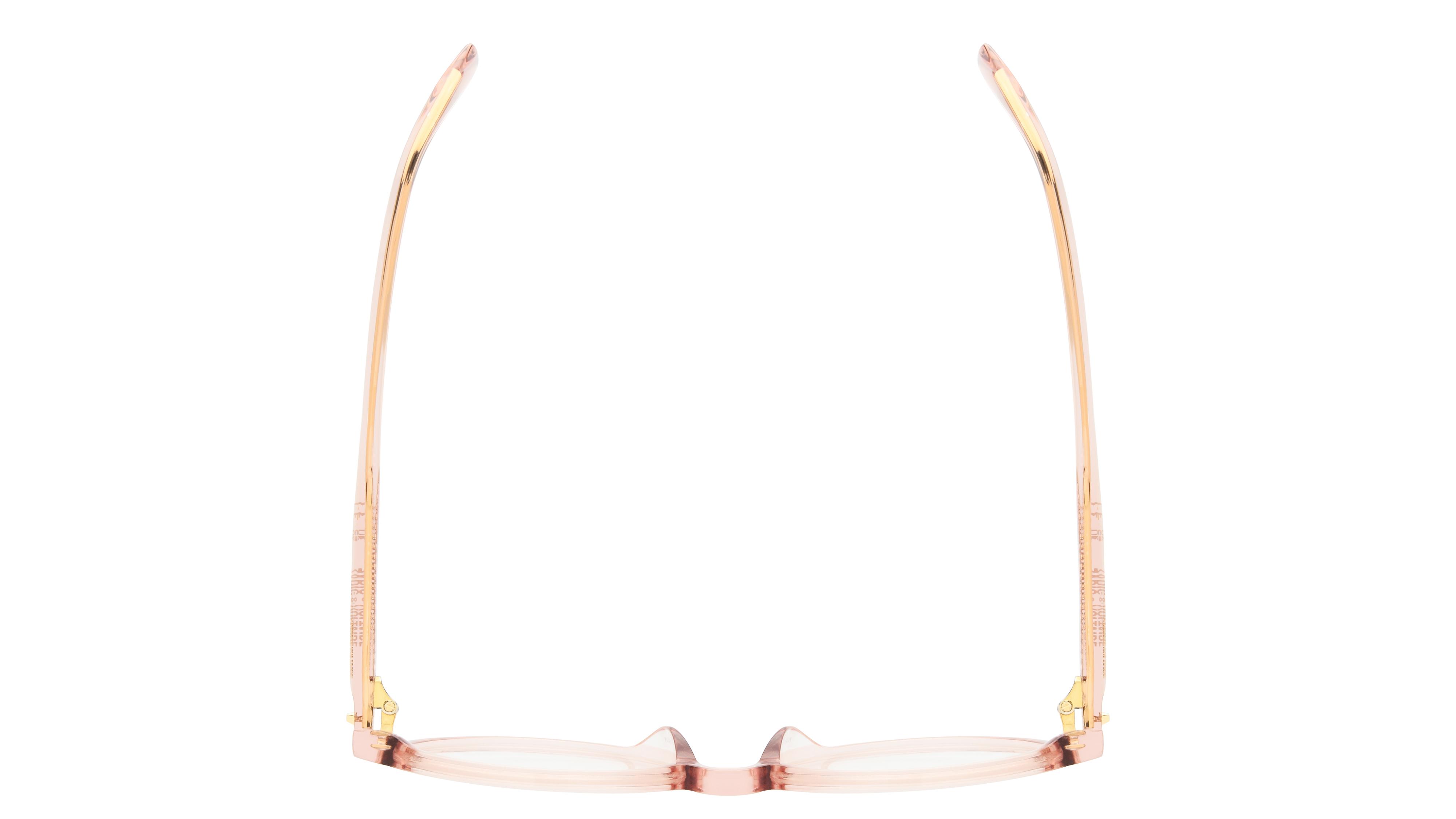 Lunettes de vue Zadig & Voltaire Femme Rose Pantos VZV480 Dessus