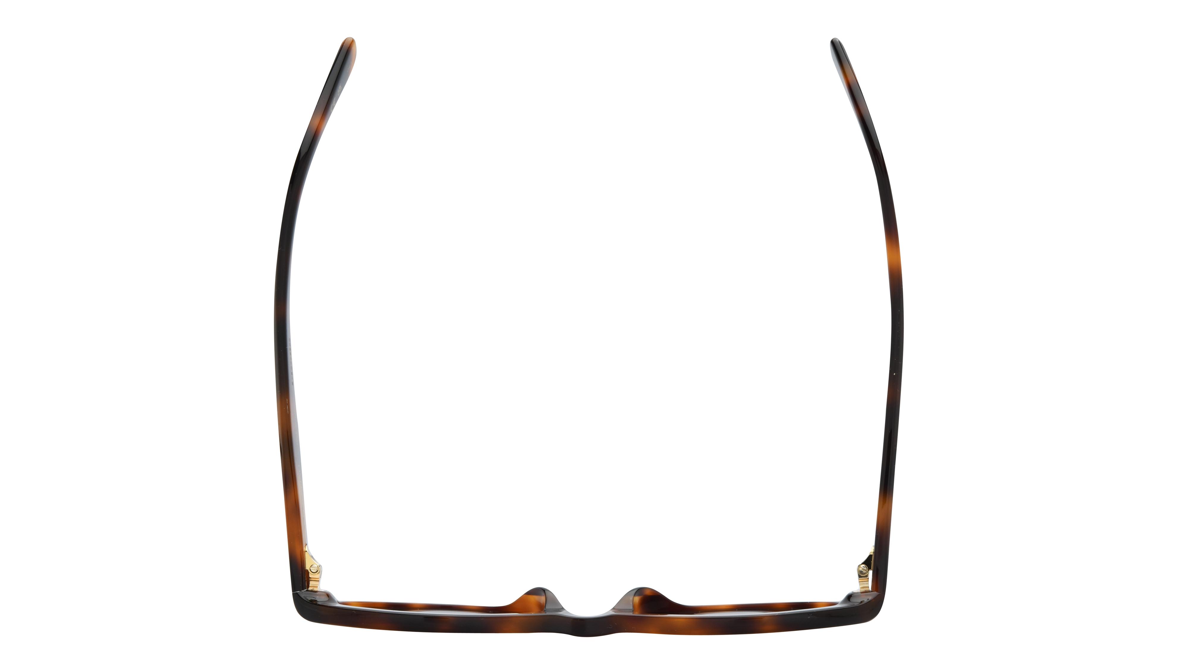 Lunettes de soleil Valentino Femme Écaille Ovale Vg0008S Dessus