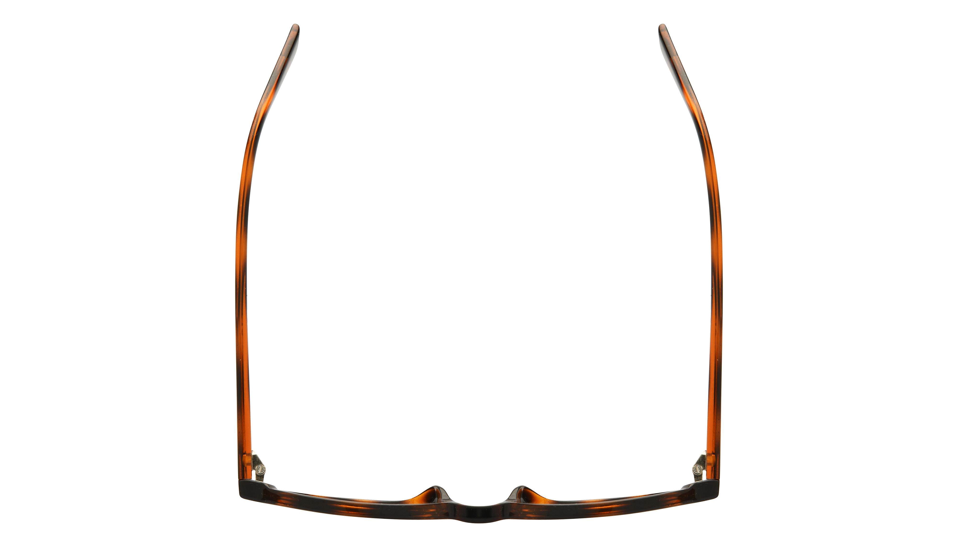 Lunettes de soleil Alternance Femme Écaille Ovale Alt26206 Dessus
